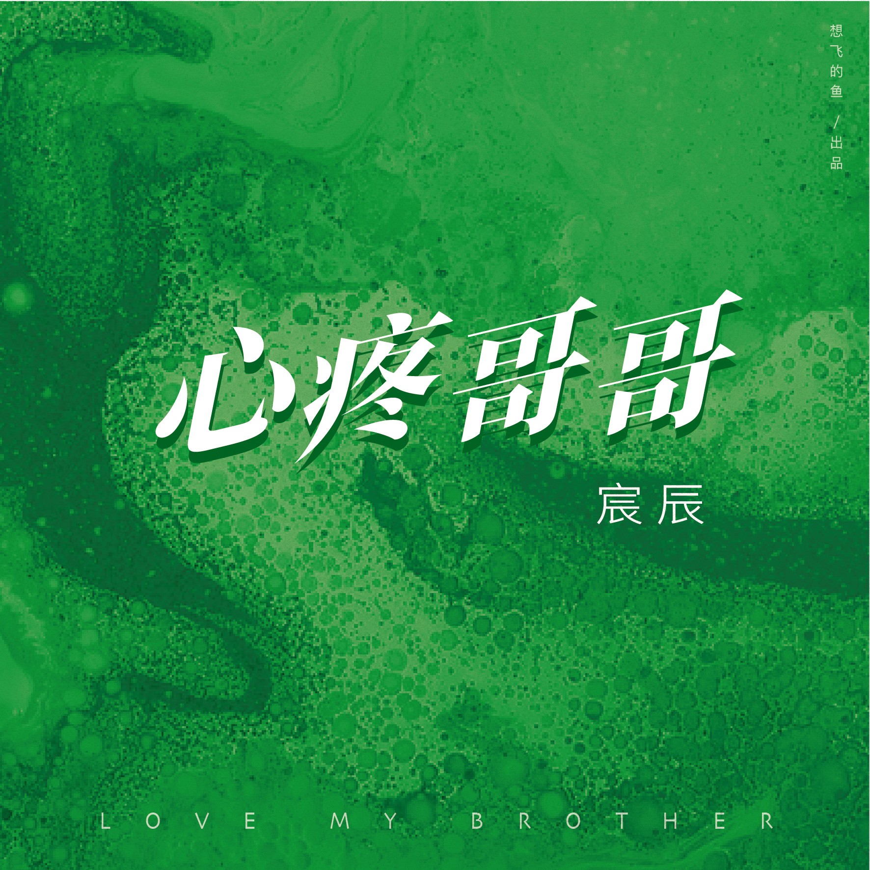 心疼哥哥_宸辰alkaid_高音質在線試聽_心疼哥哥歌詞|歌曲下載_酷狗