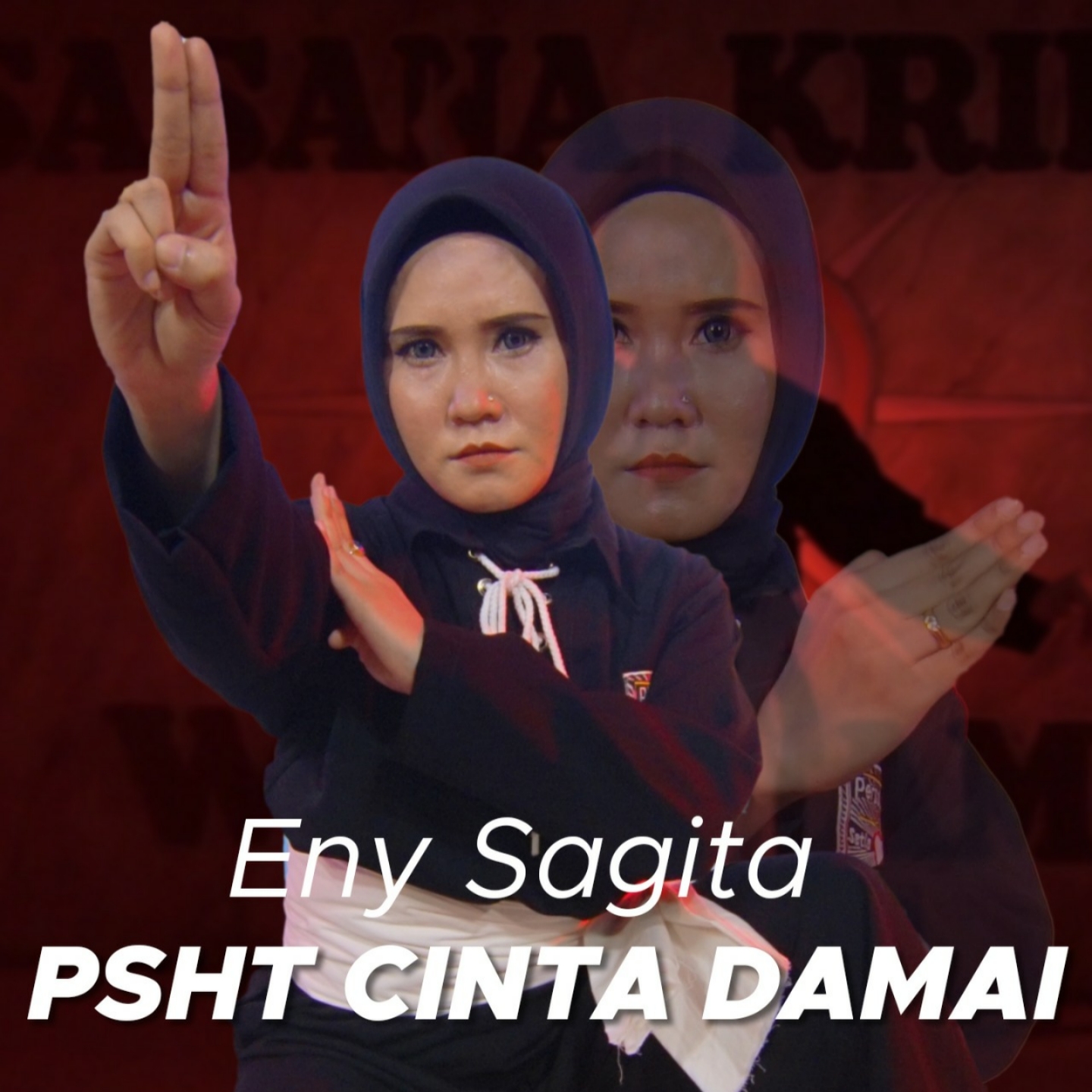 enysagitapshtcintadamai