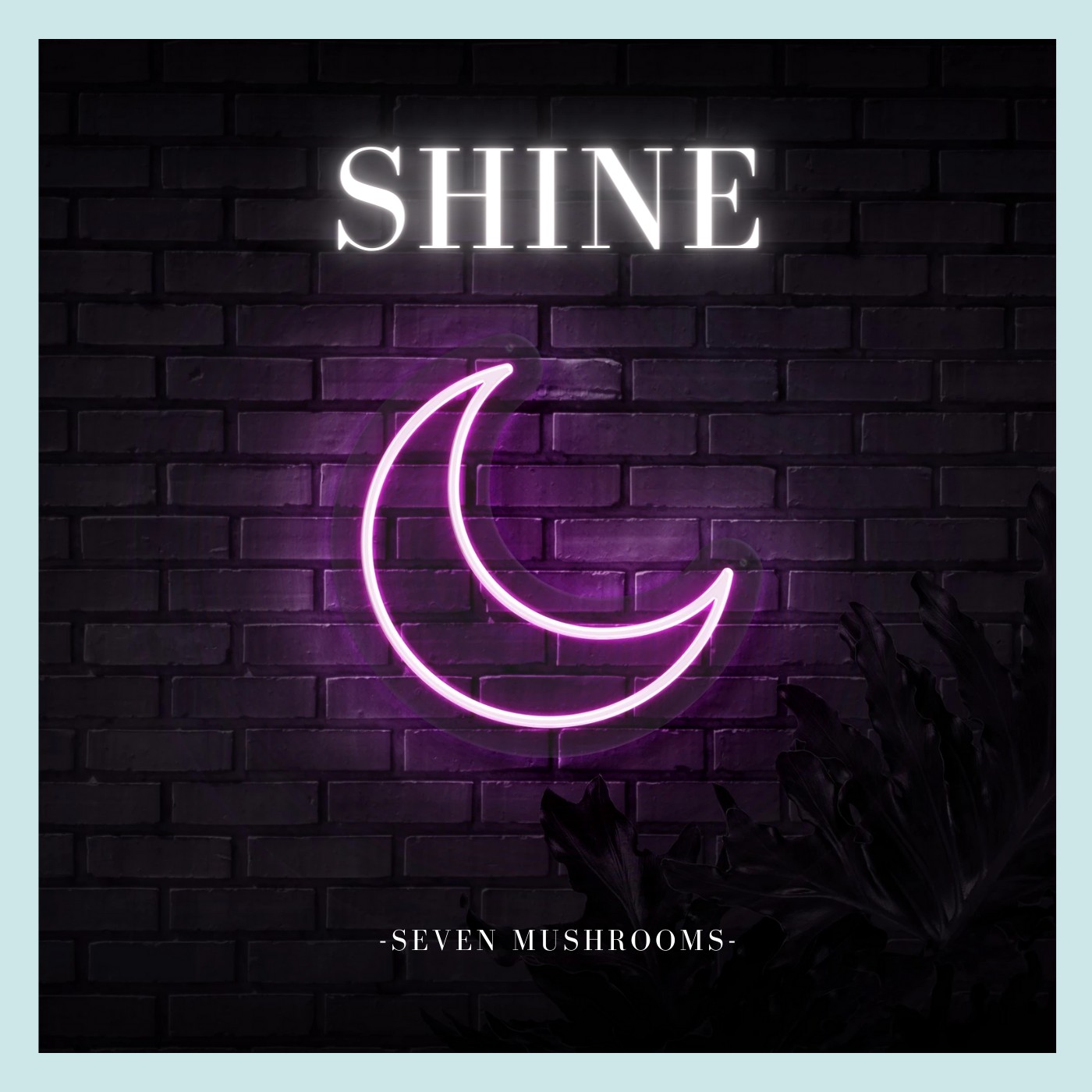 shine