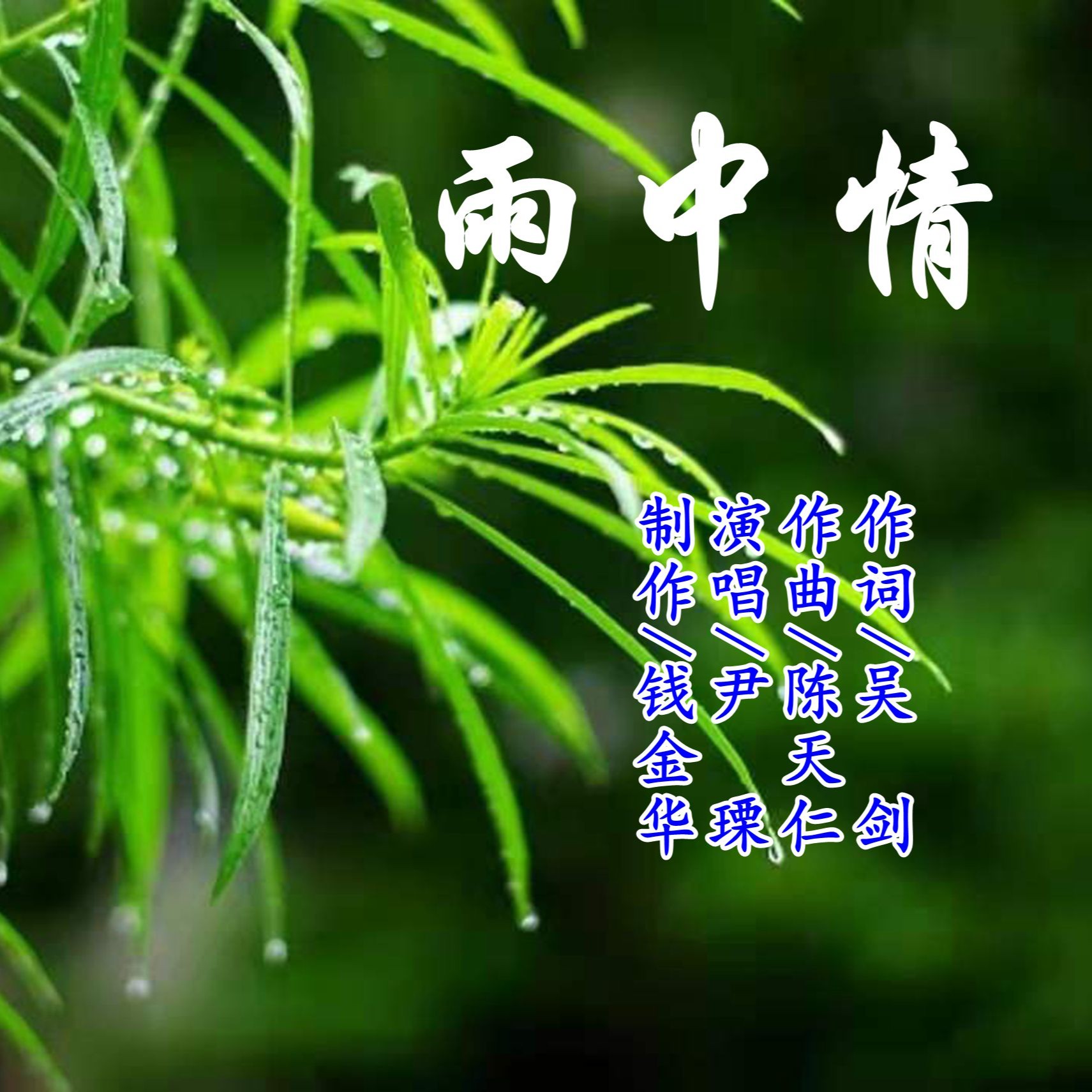 唯美雨中情图片图片