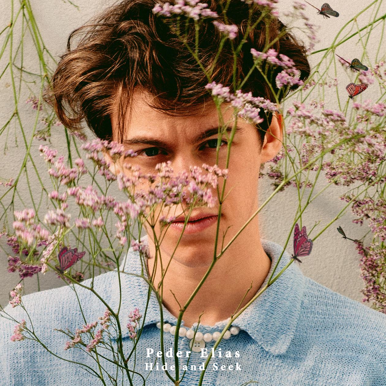 pedereliashideandseek