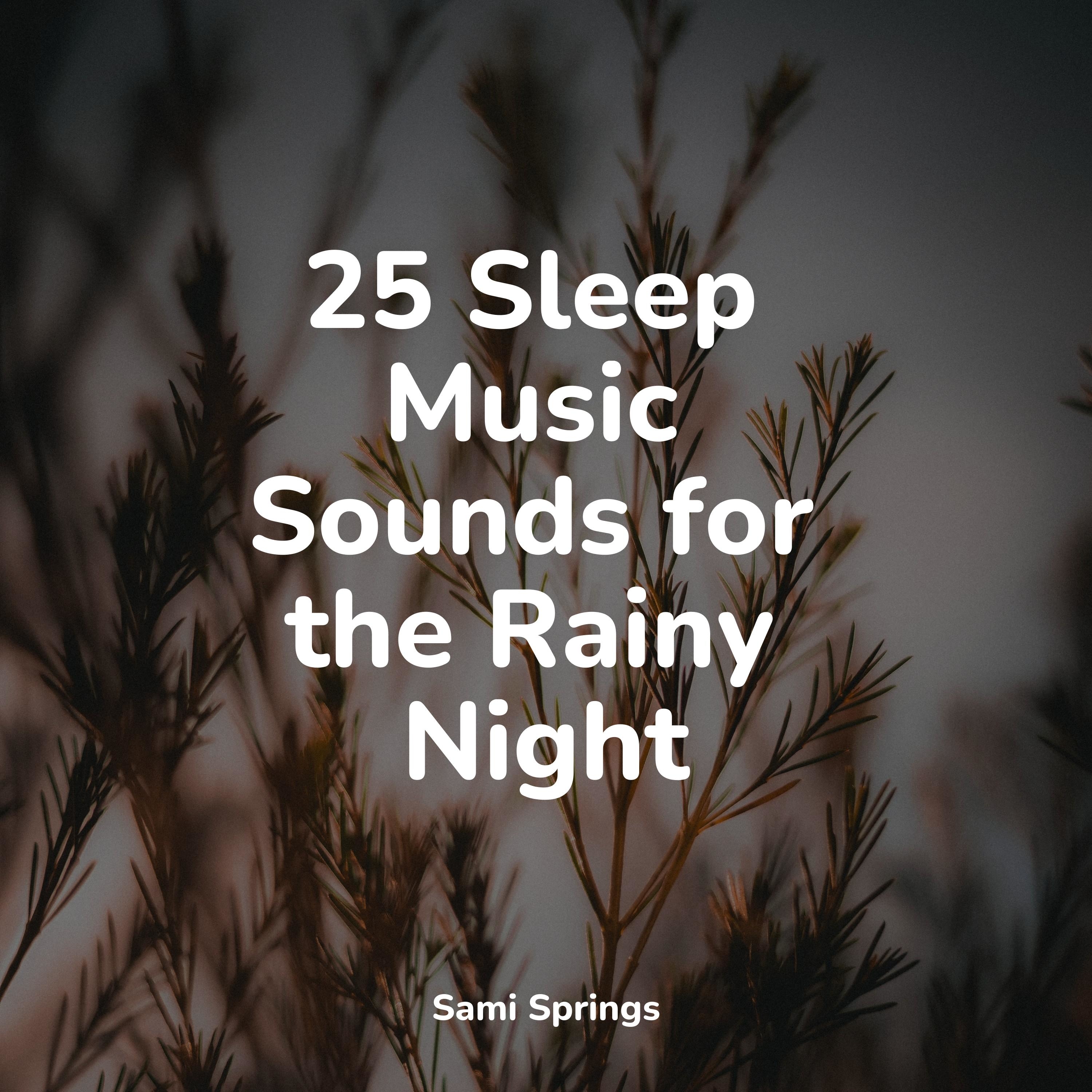 windy pathway專輯:25 sleep music sounds for the rainy night甘種