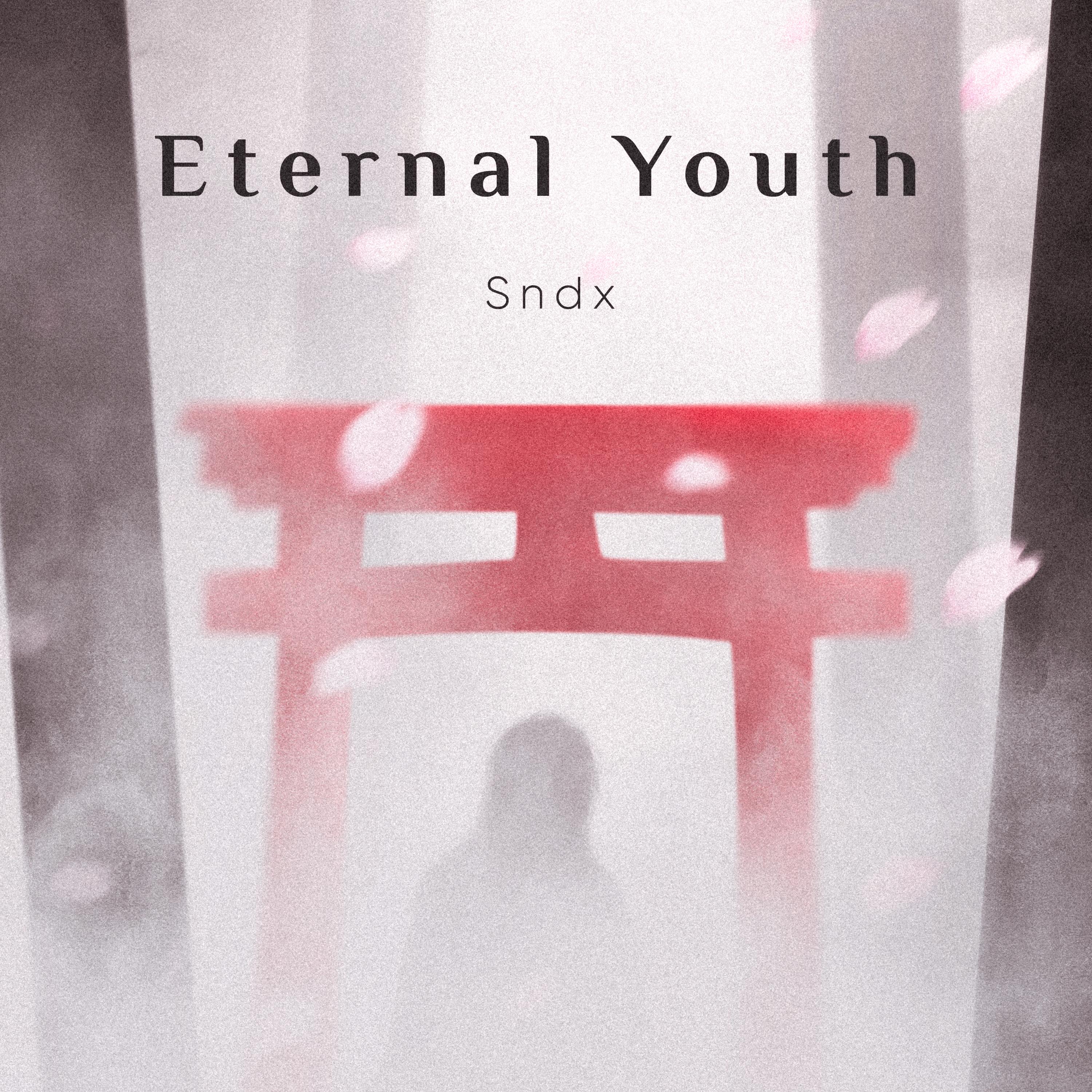 eternalyouth钢琴谱图片