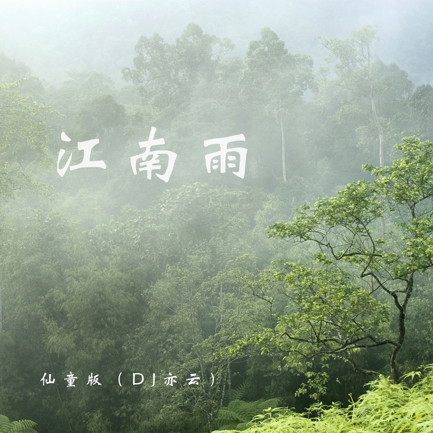 江南雨歌曲原唱(江南雨歌曲原唱是谁)