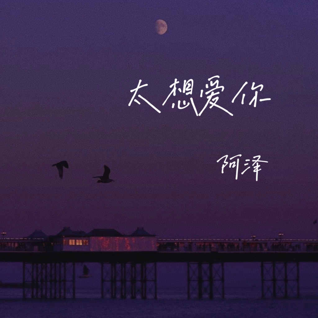 太想愛你_阿澤_高音質在線試聽_太想愛你歌詞|歌曲下載_酷狗音樂