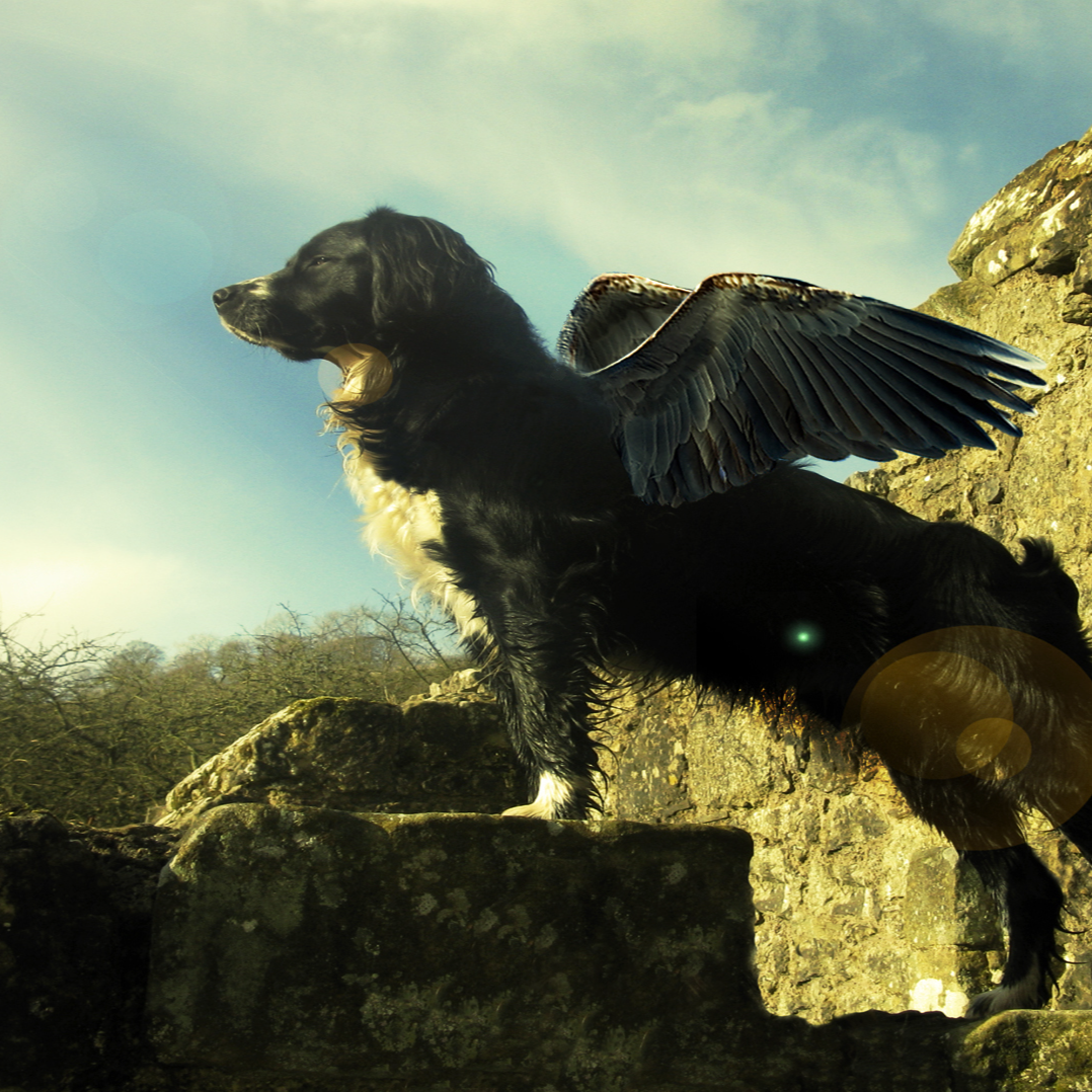 版)_小安琪_高音质在线试听_你说的