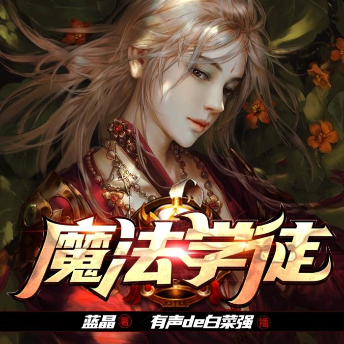 主角在现代教魔法的小说