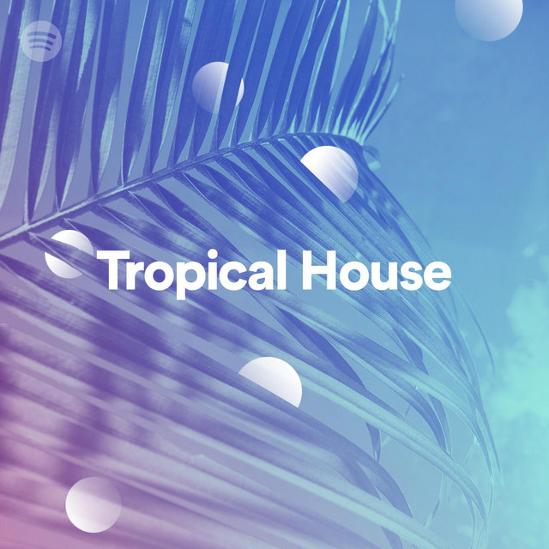 tropical house代表作图片