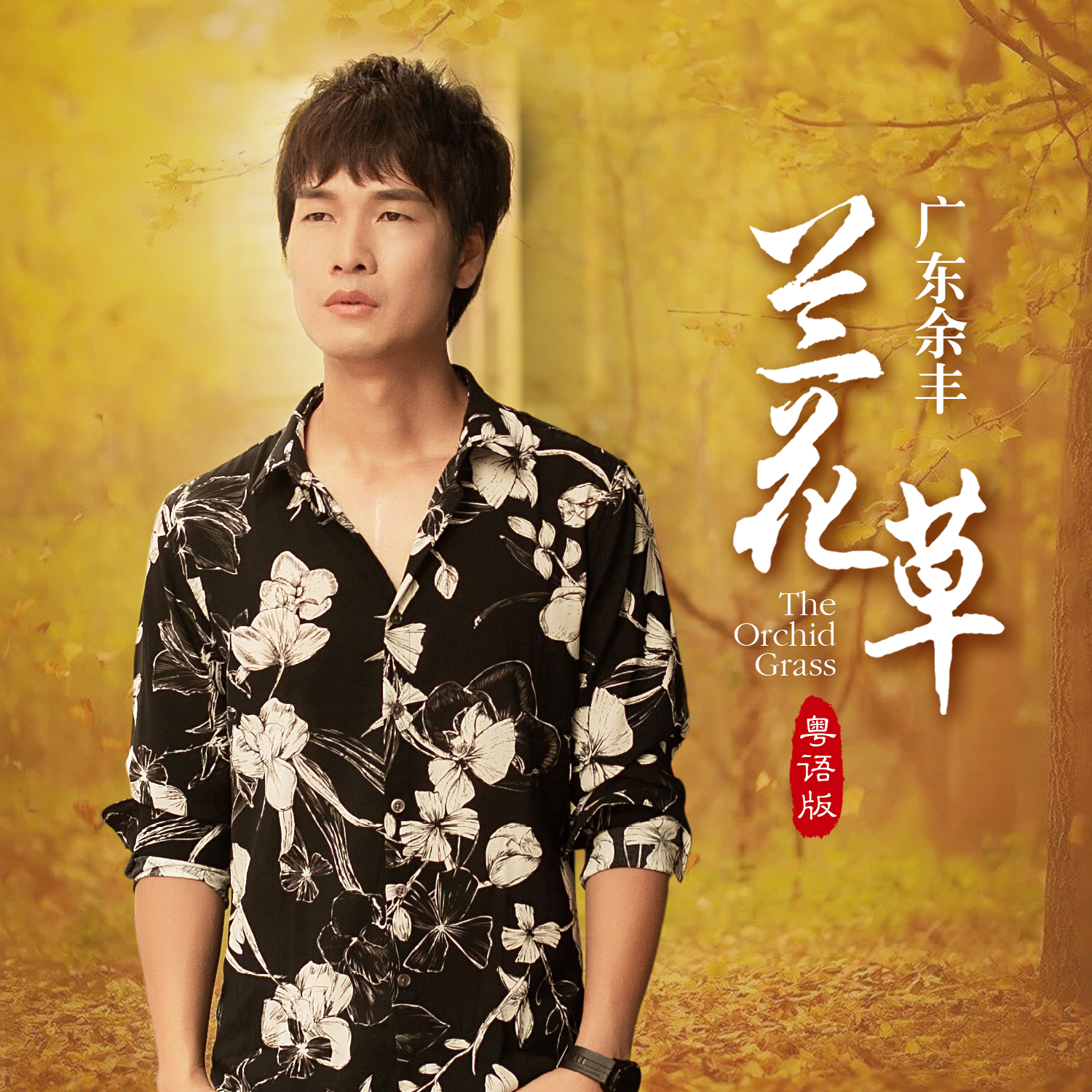 广东余丰兰花草粤语吉他完整版