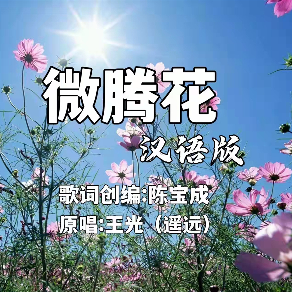 微腾花歌曲图片