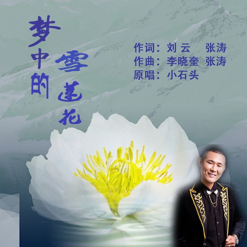 小石頭夢中的雪蓮花