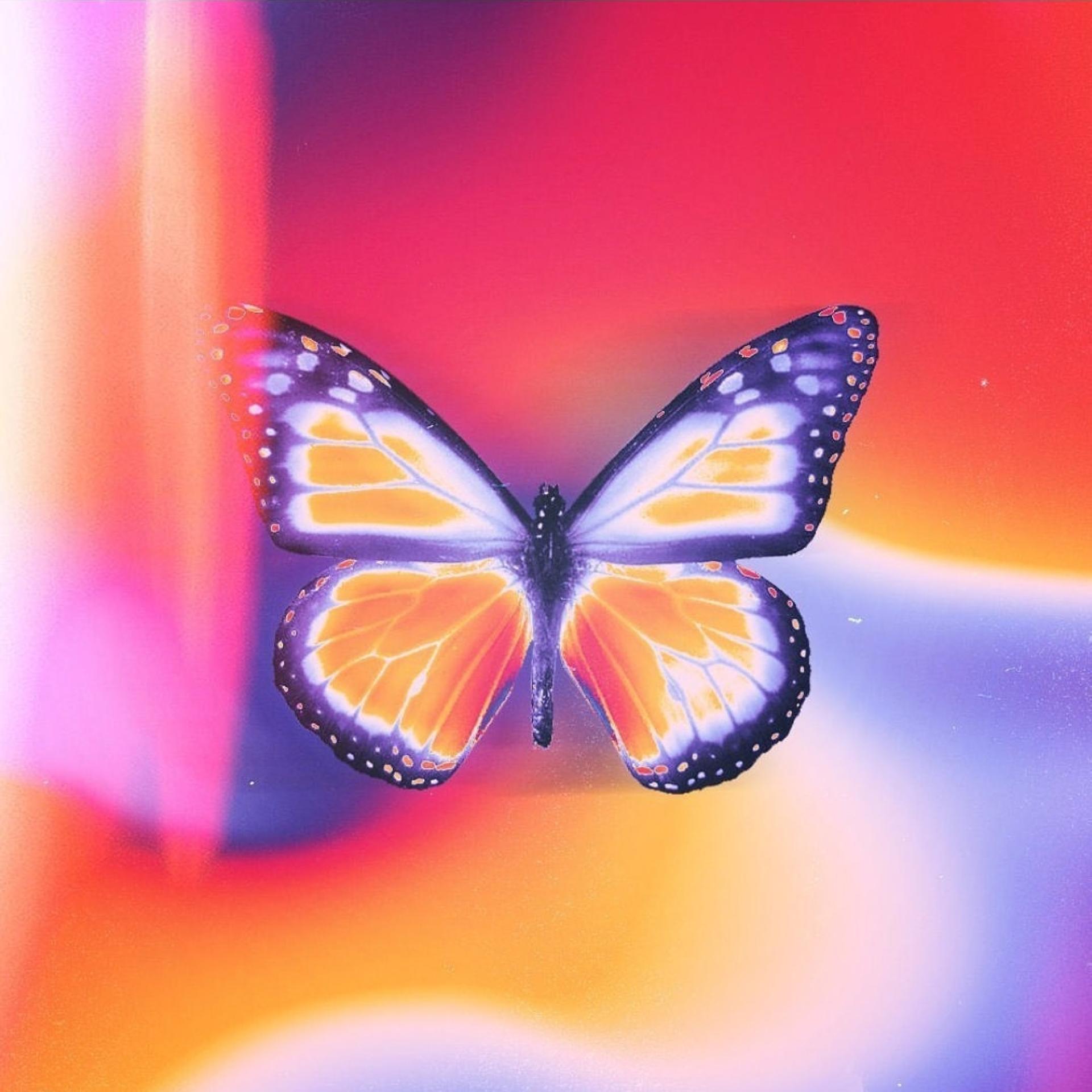 butterfly歌曲(butterfly歌曲数码宝贝)