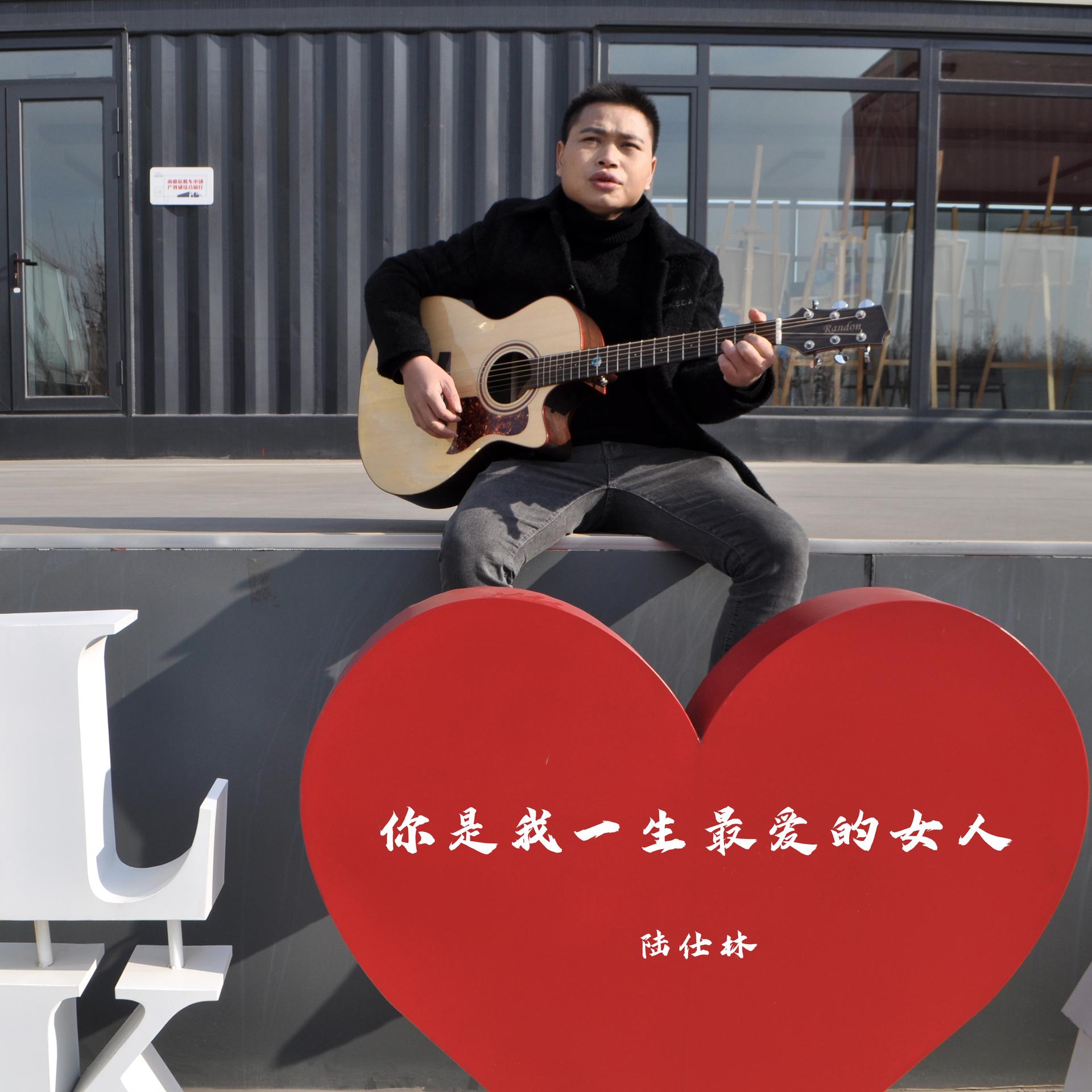 你是我一生最爱的女人 (伴奏)_陆仕林_高音质在线试听_你是我一生最爱