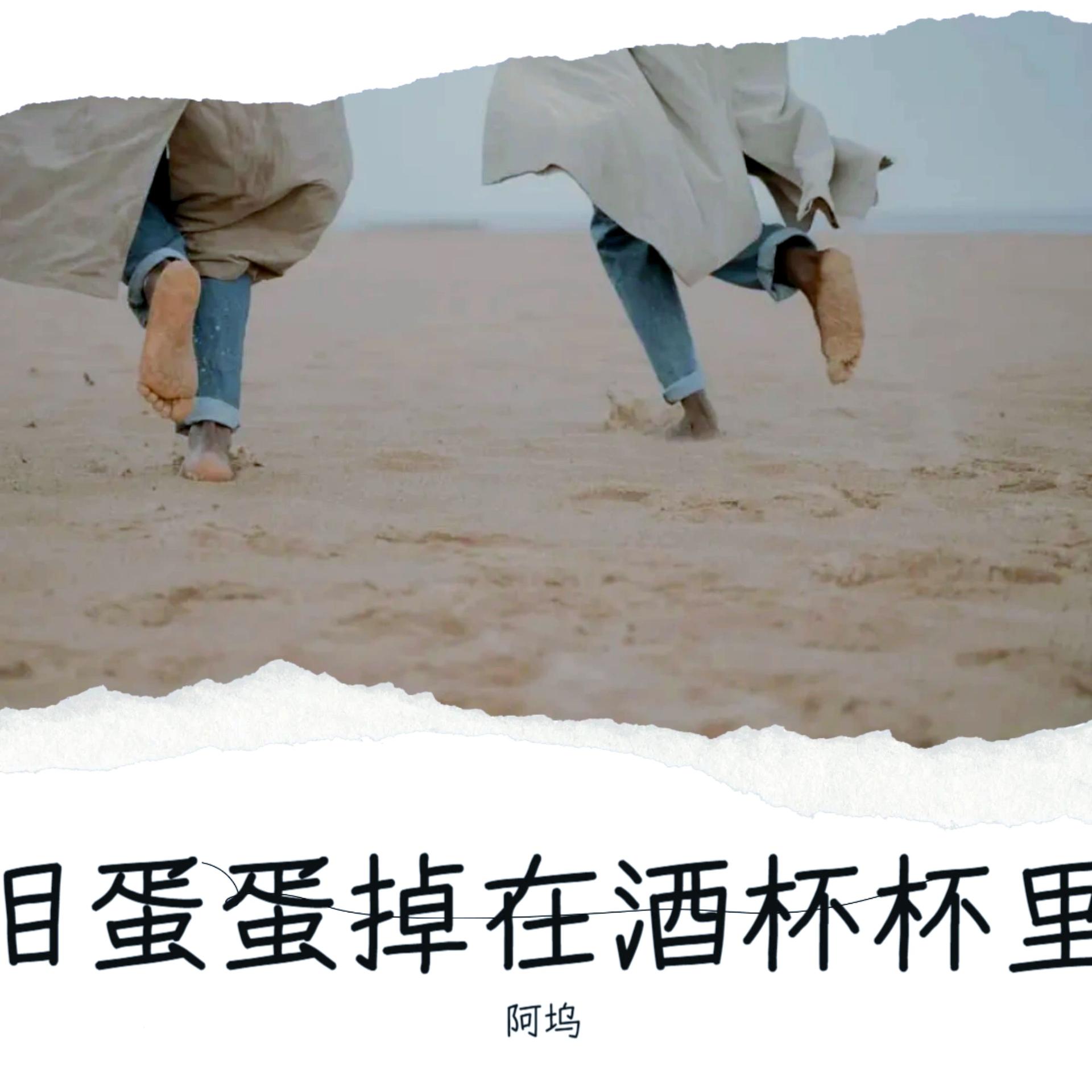 泪蛋蛋掉在酒杯杯里_阿坞_高音质在线试听_泪蛋蛋掉在酒杯杯里歌词