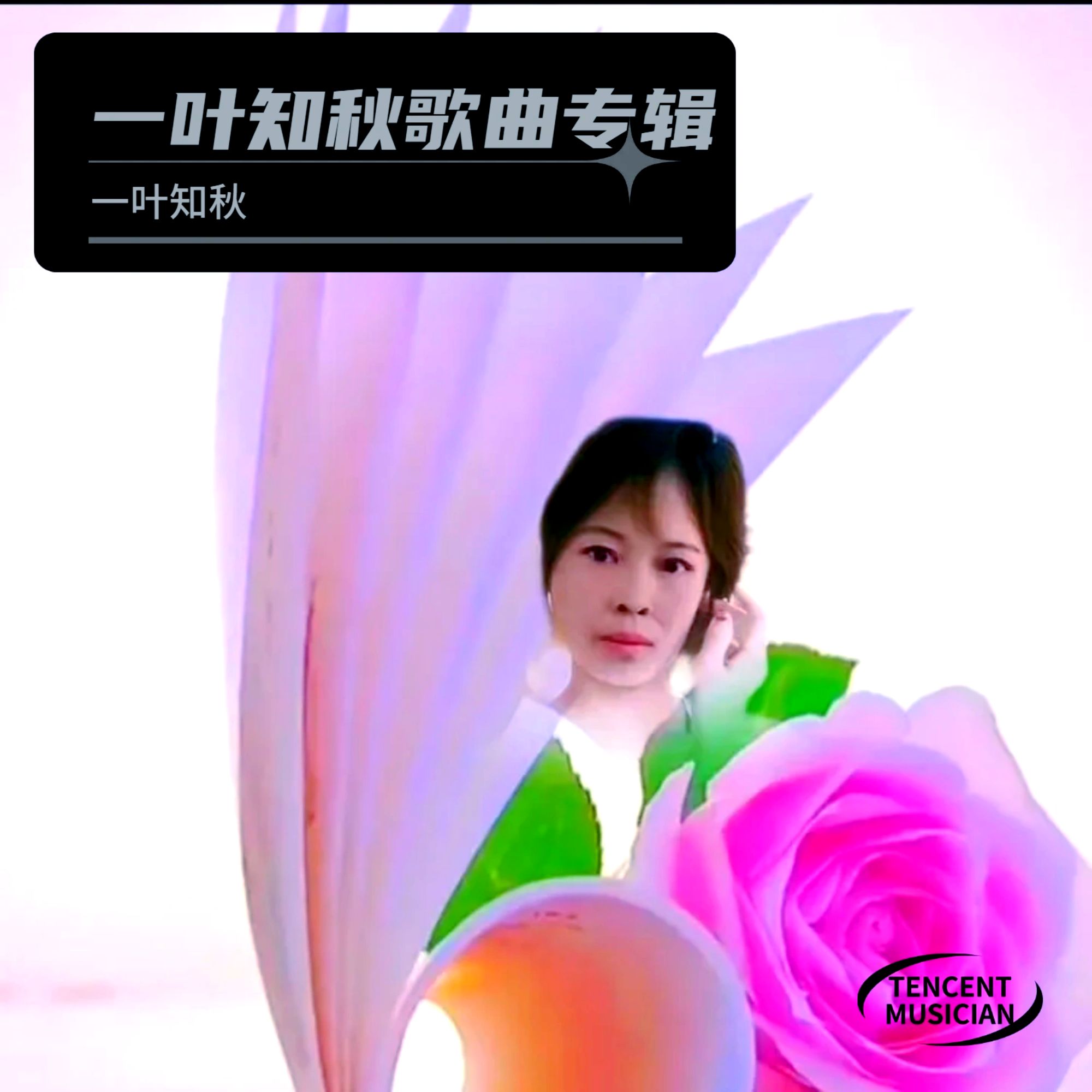 一叶知秋歌曲(一叶知秋歌曲表达的意思)