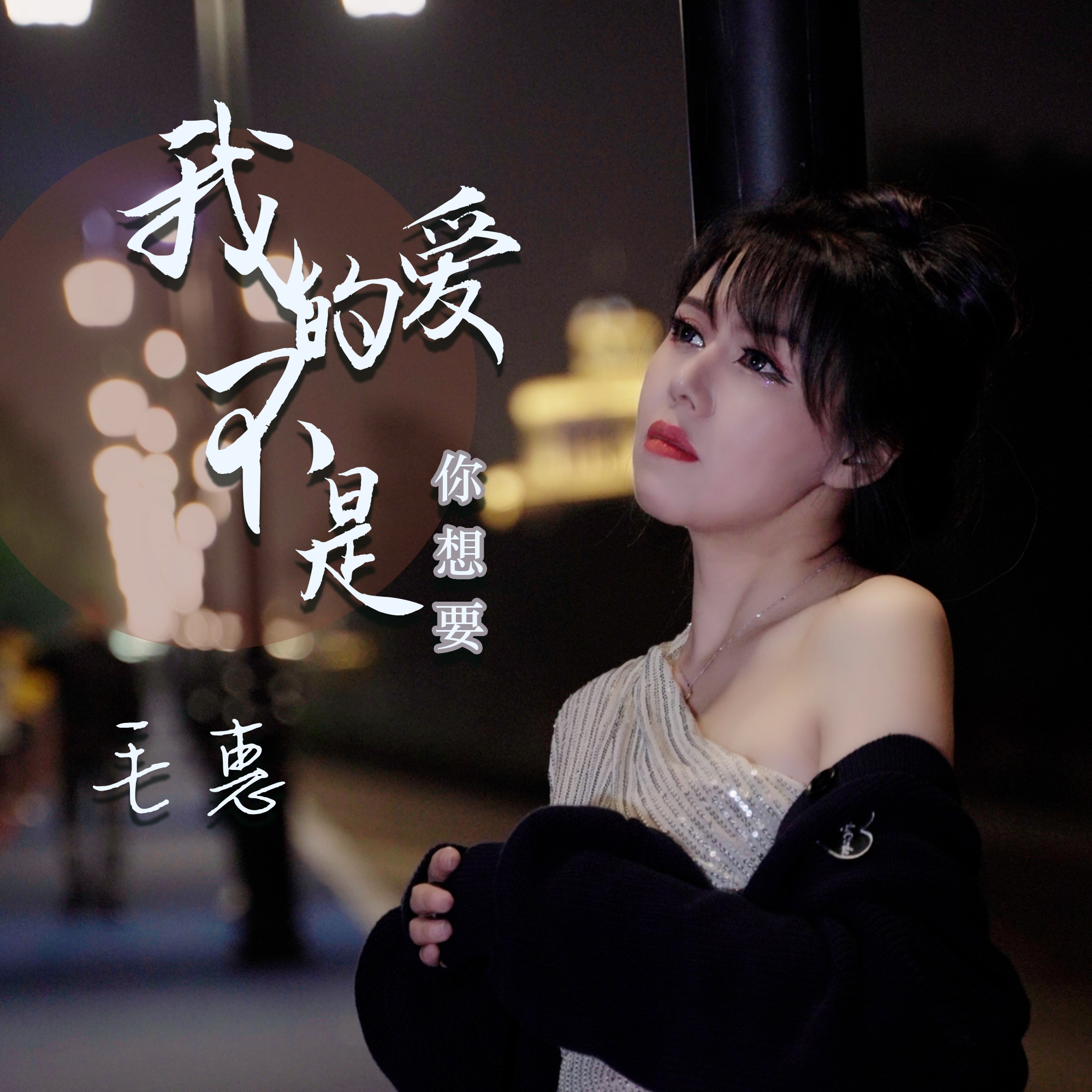 我的爱不是你想要_毛惠_高音质在线试听_我的爱不是你想要歌词|歌曲