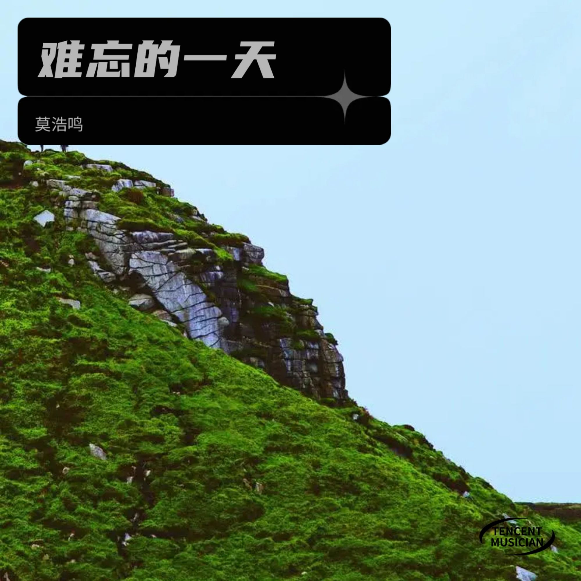 怒放的生命歌曲(怒放的生命歌曲试听)