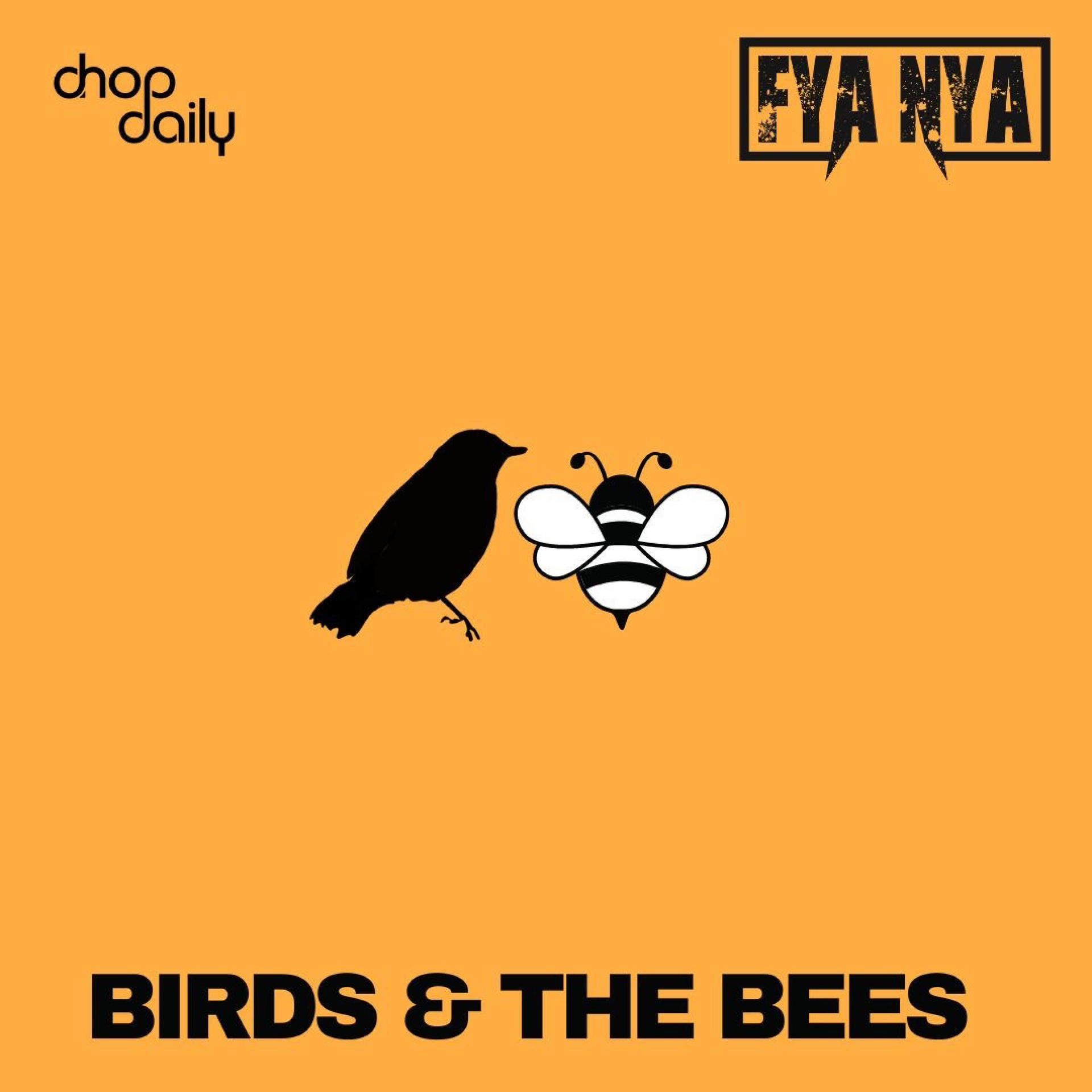 birds & the bees