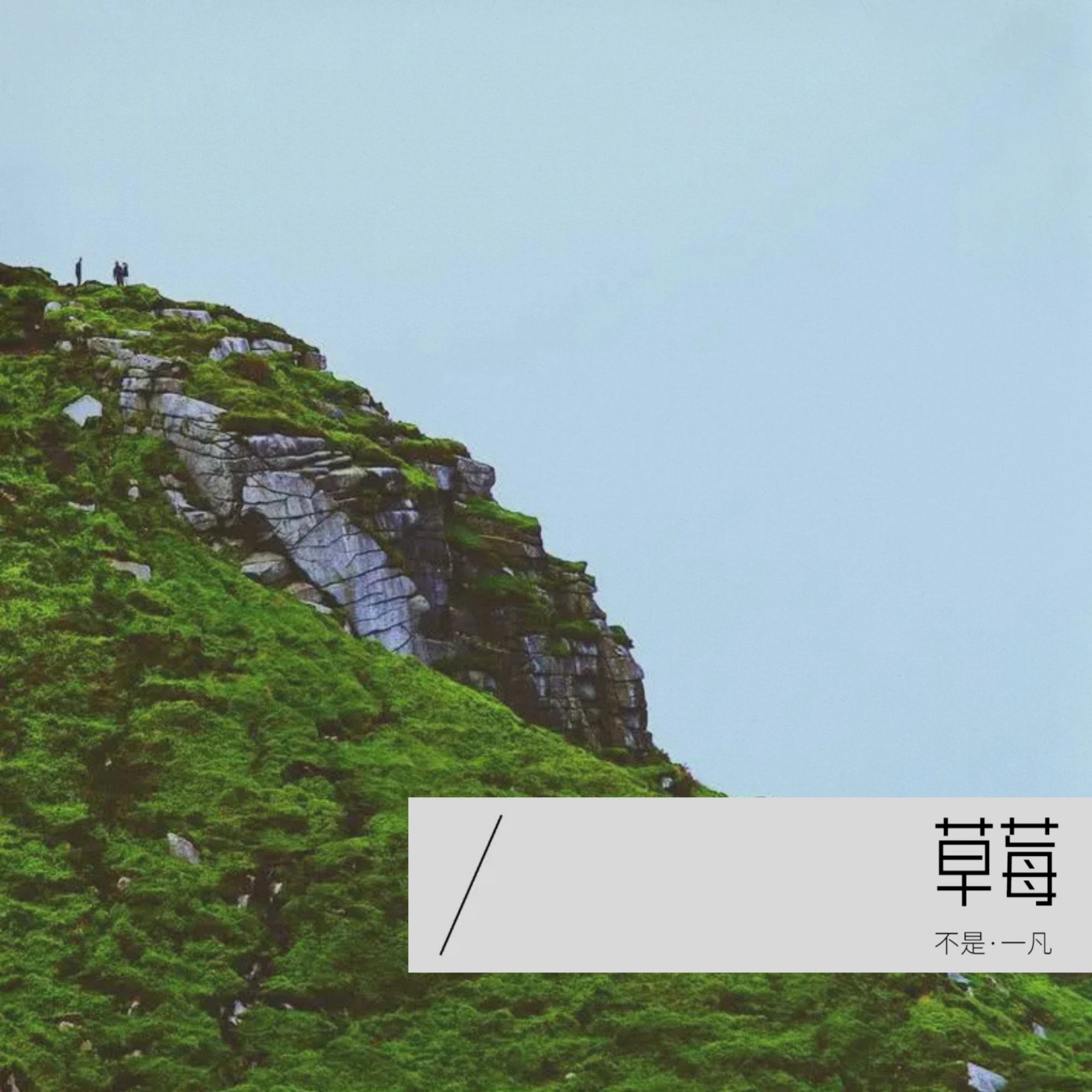 橘子汽水歌曲(橘子汽水歌曲下载)