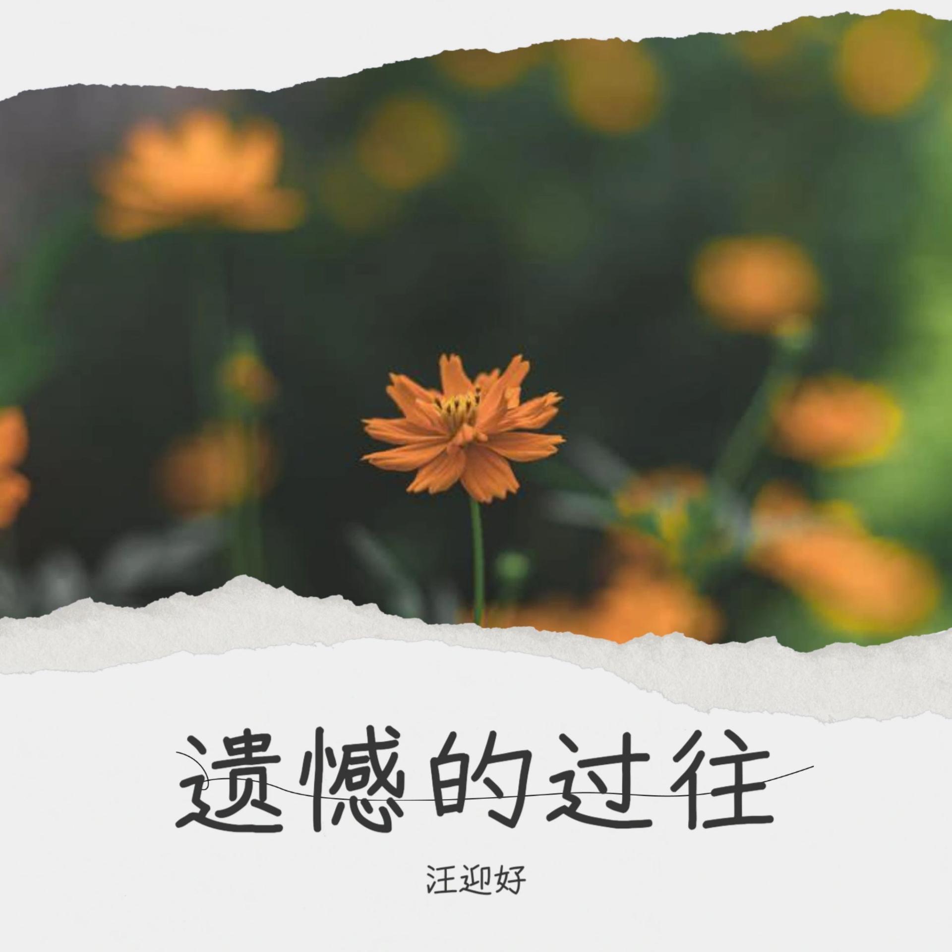 风雨无阻歌曲(风雨无阻歌曲原唱周华健)