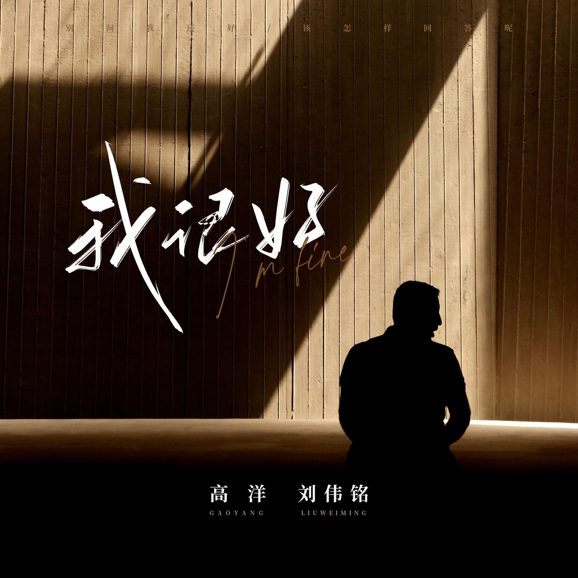 我很好歌曲(我很好歌曲表达了什么)