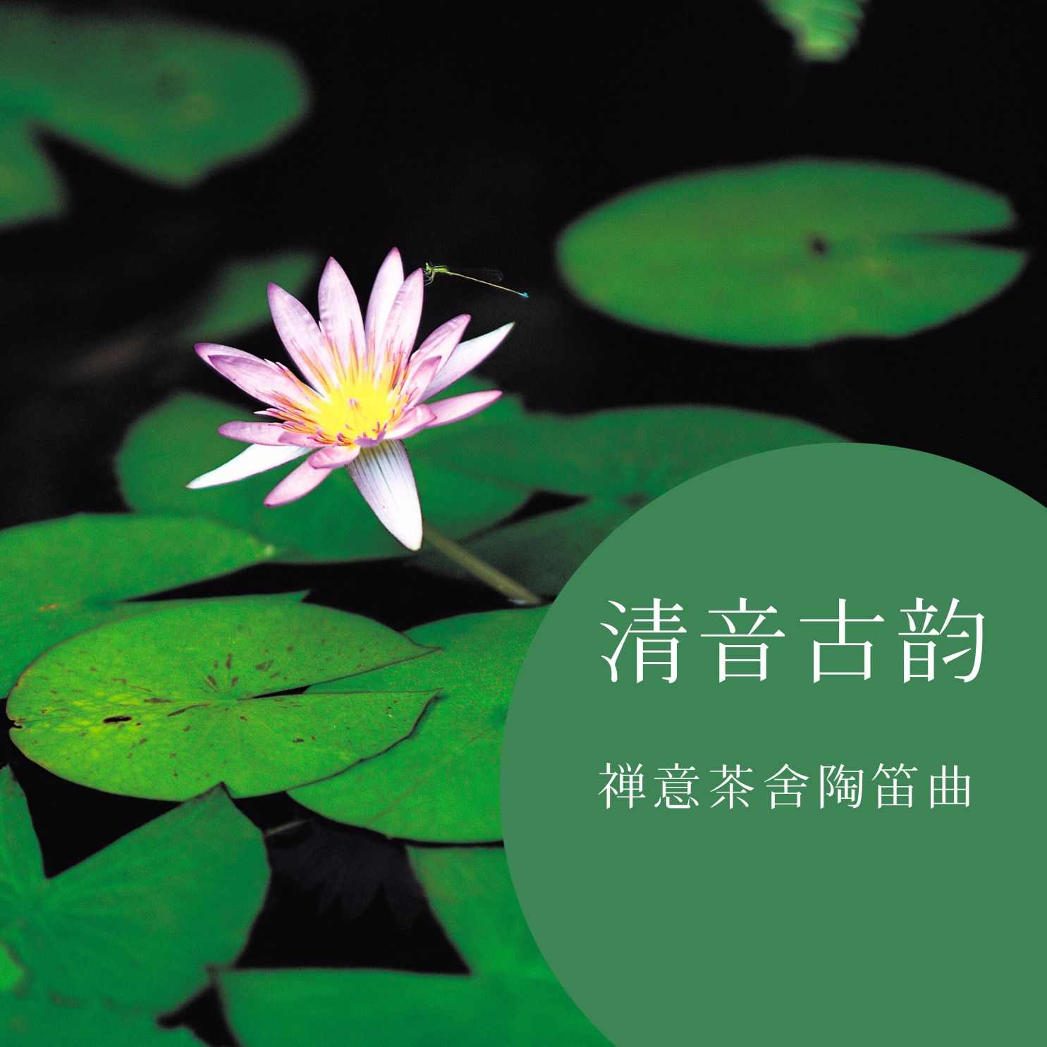 太极歌曲(太极歌曲大全100首)