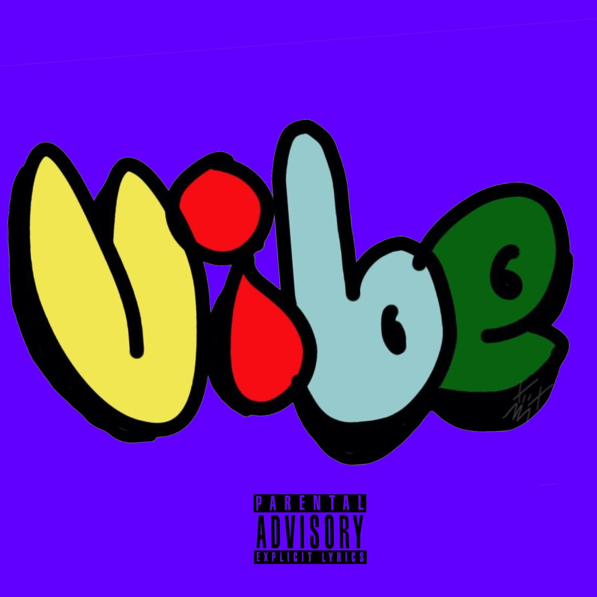vibe是什么意思(vibe是什么意思中文)