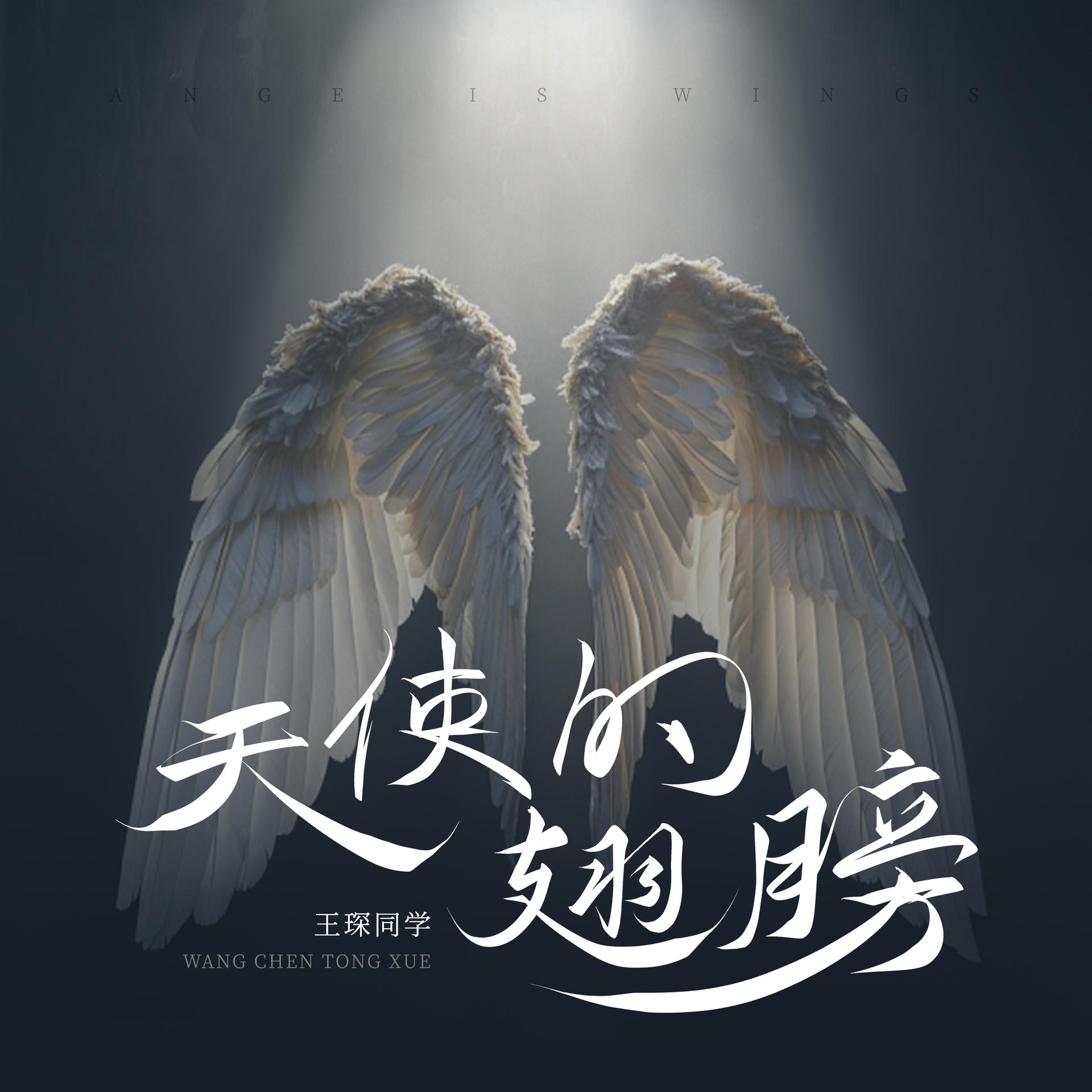 歌曲天使的翅膀(歌曲天使的翅膀女生版)