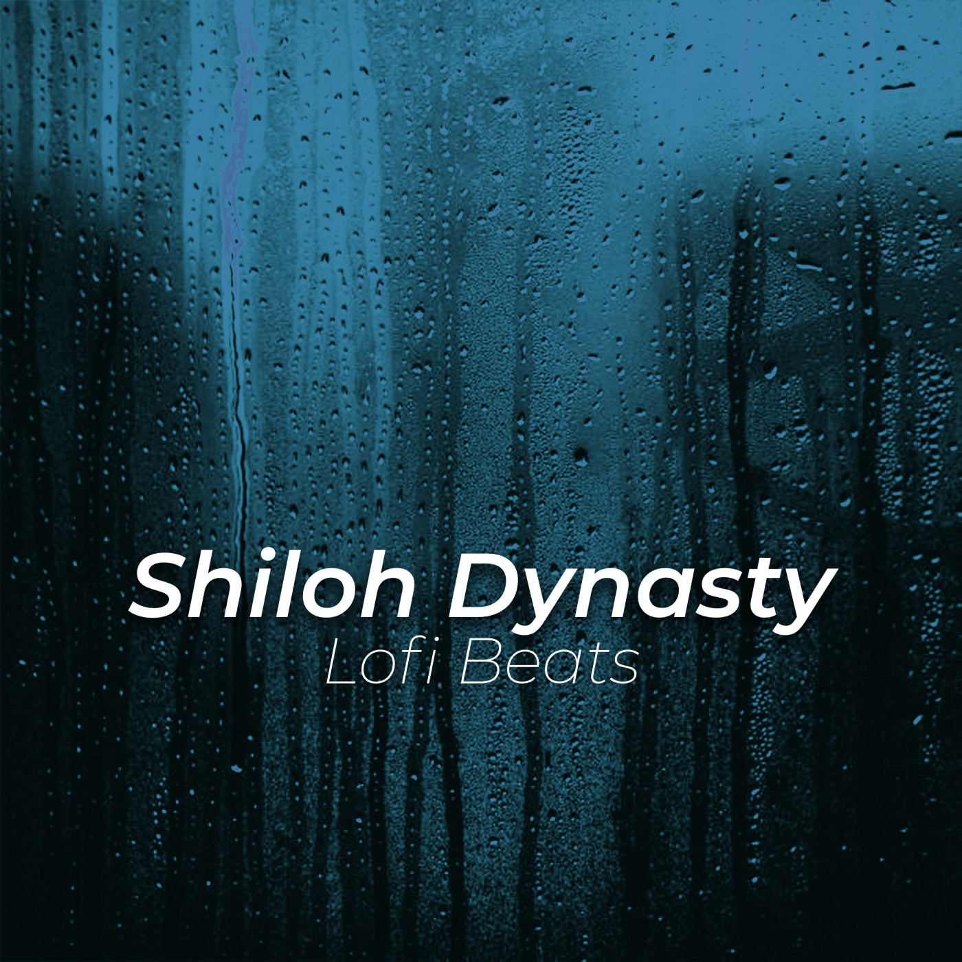 shiloh dynasty吉他谱图片