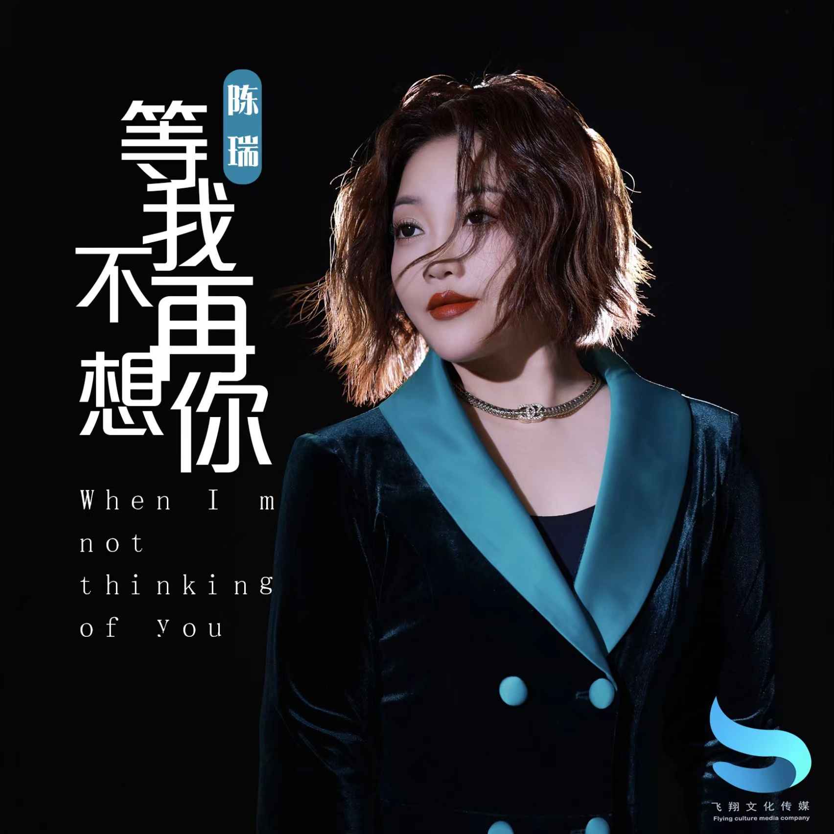 陈瑞最好听的歌曲大全(陈瑞最好听的歌曲大全藕断丝连)