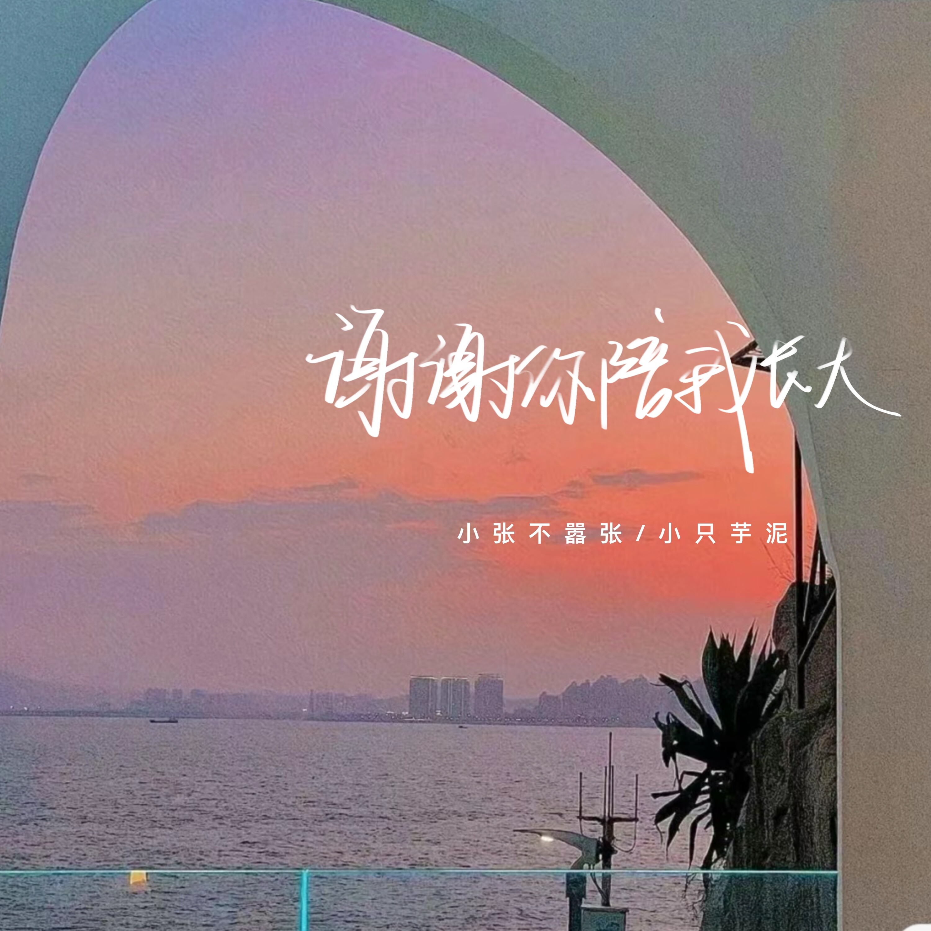 陪我长大歌曲(陪我长大歌曲原唱)