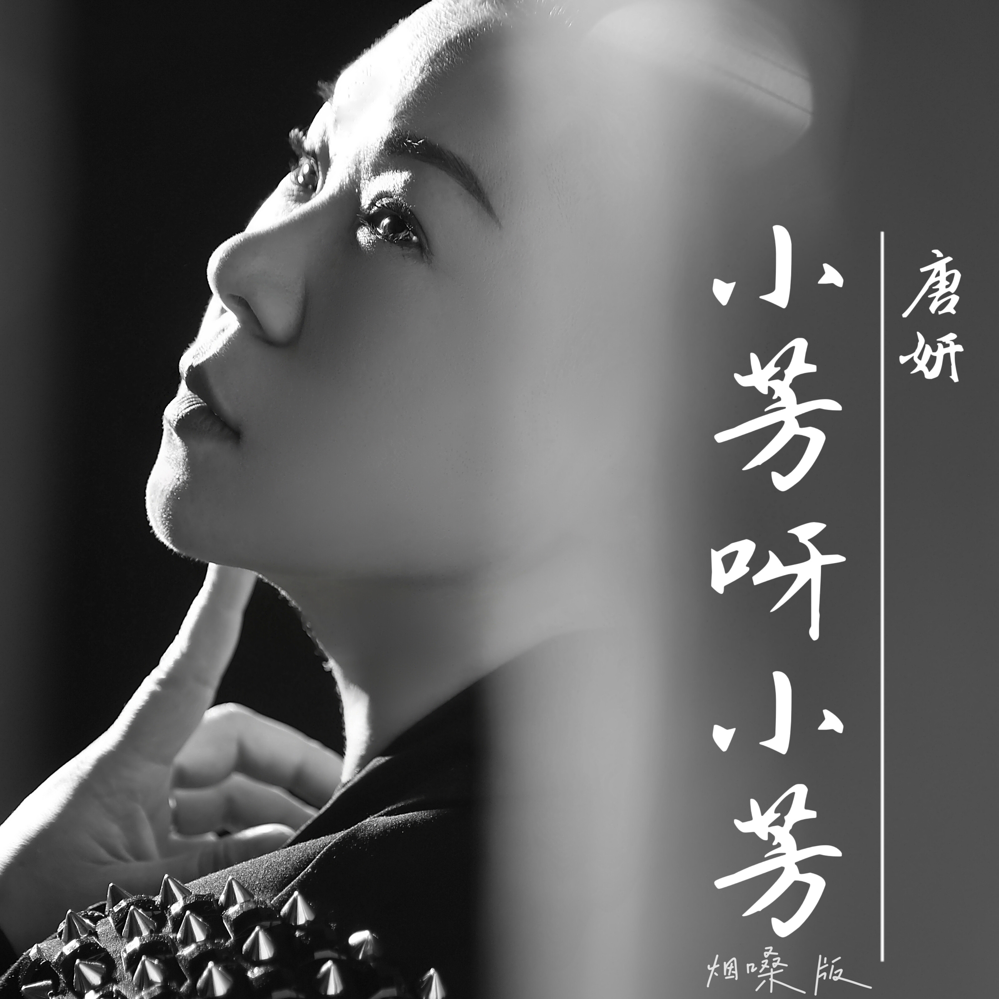 小芳原唱歌曲(小芳原唱歌曲大全)