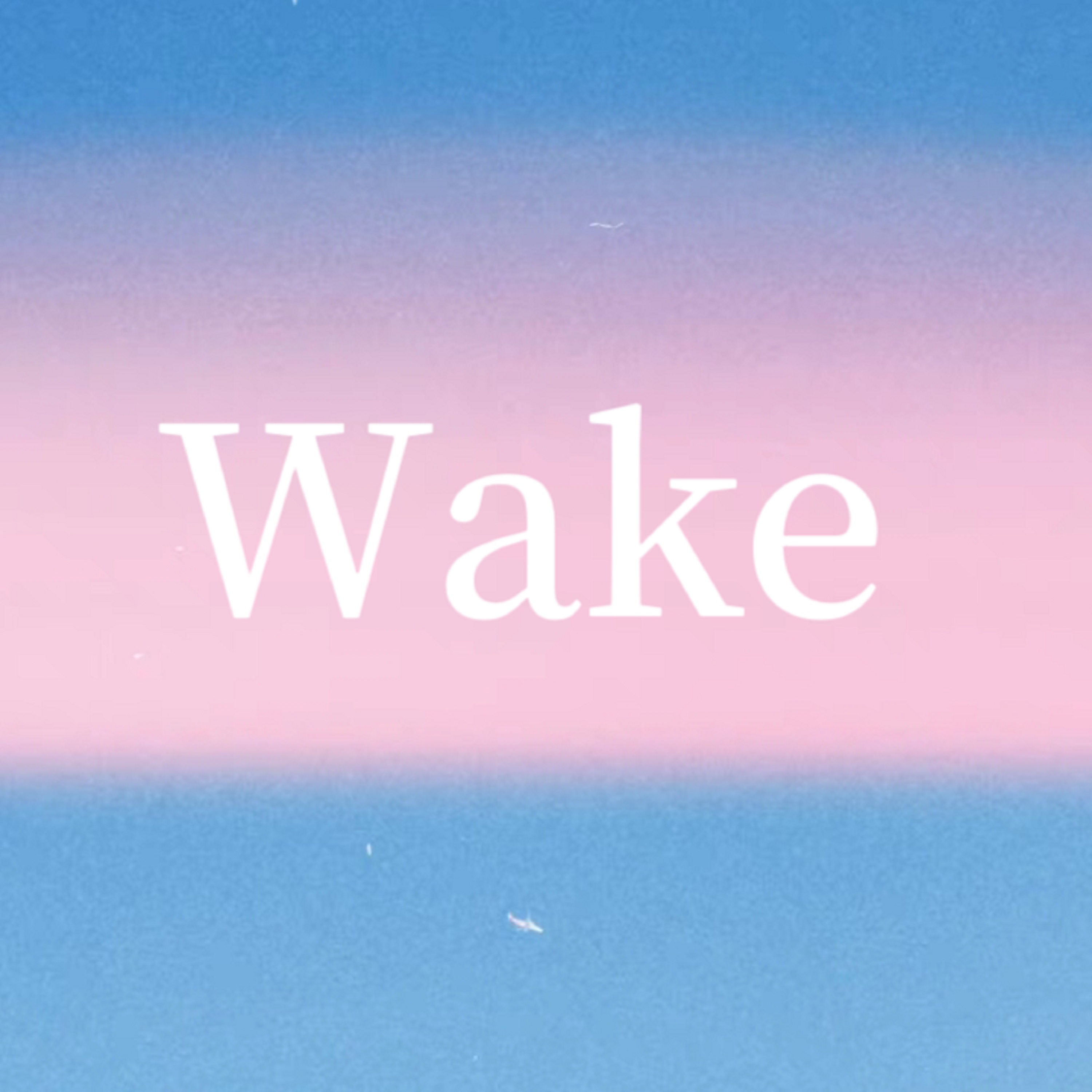 wake歌曲(wake歌曲我的世界版)