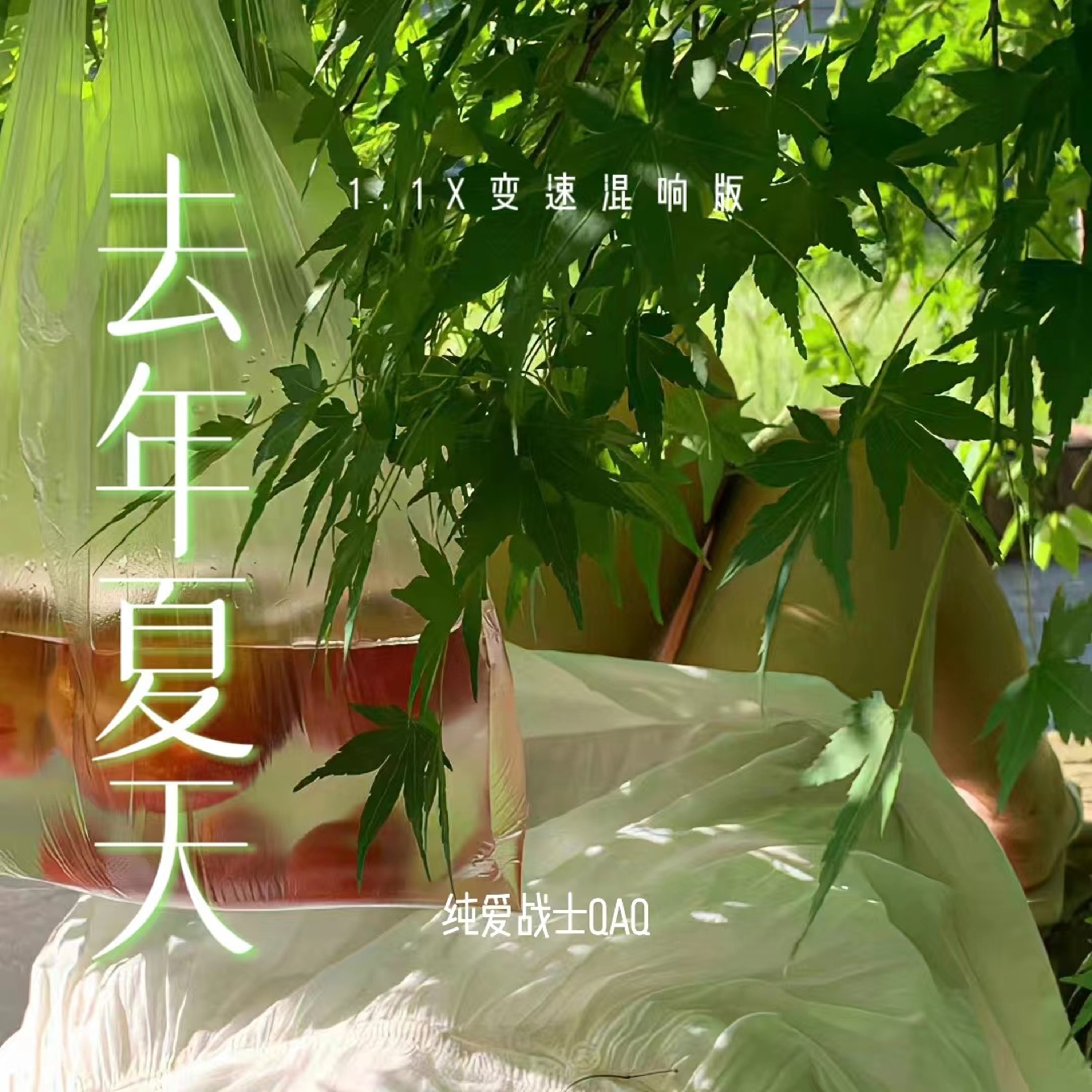去年夏天歌曲(去年夏天歌曲下载)