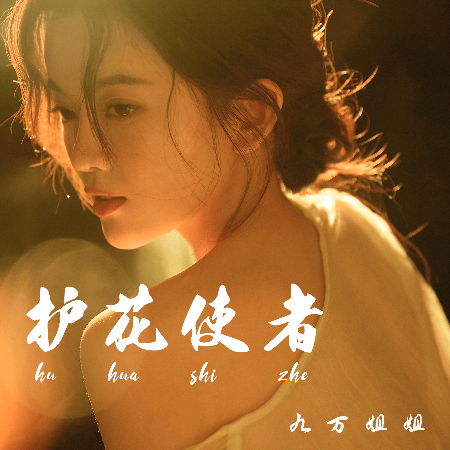 护花使者歌曲(护花使者歌曲原唱mp3下载)
