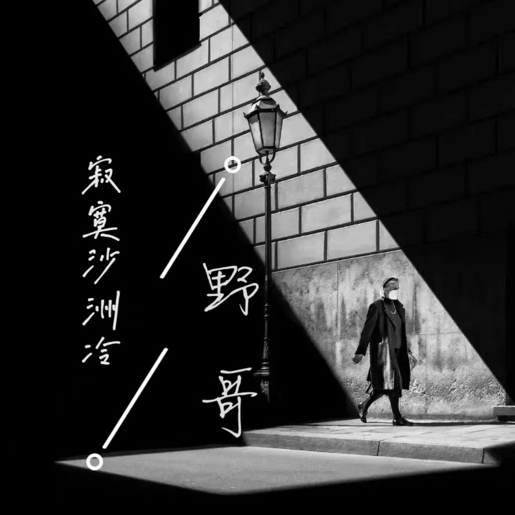 寂寞沙洲冷歌曲(孙露寂寞沙洲冷歌曲)