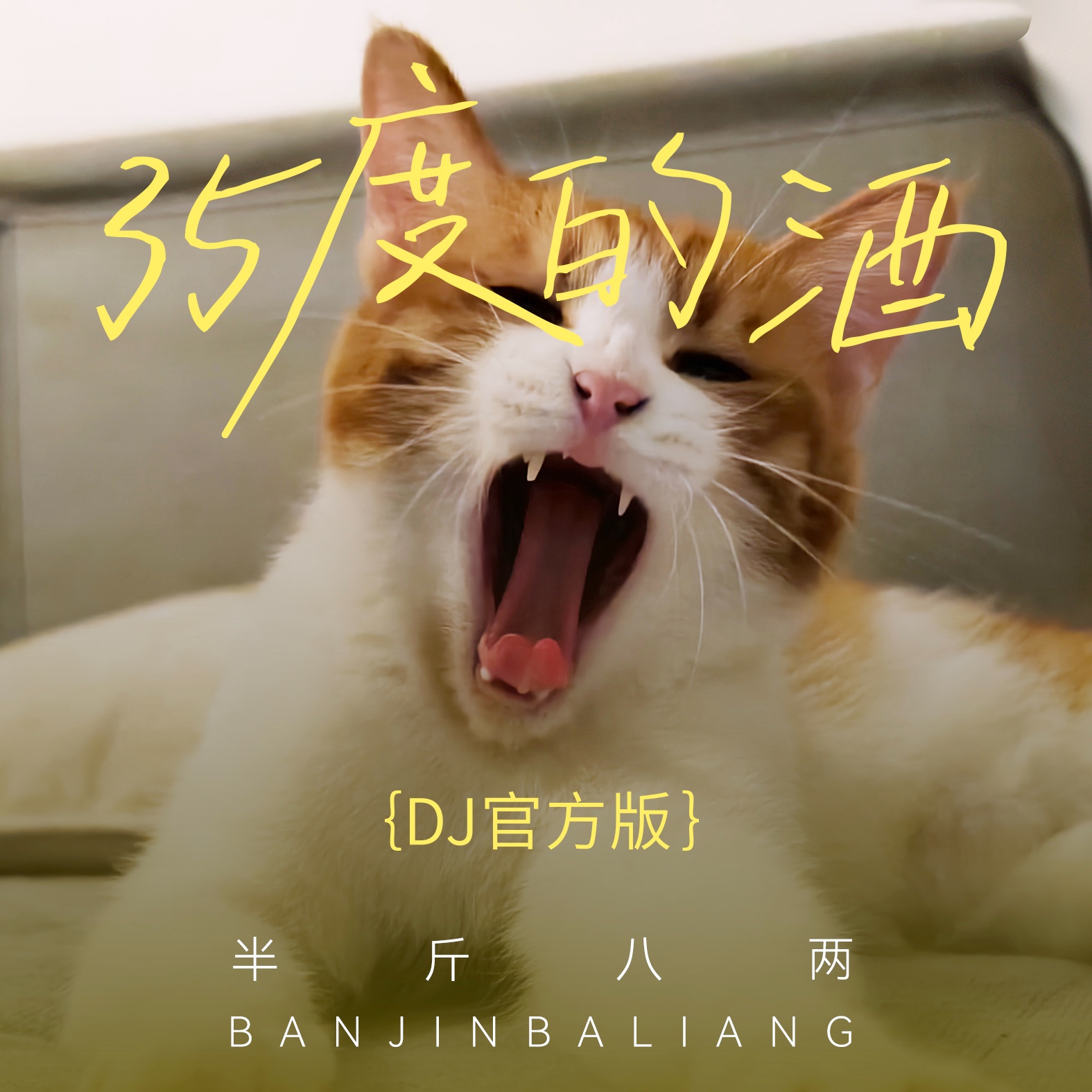 半斤八两歌曲(半斤八两歌曲普通话完整版)
