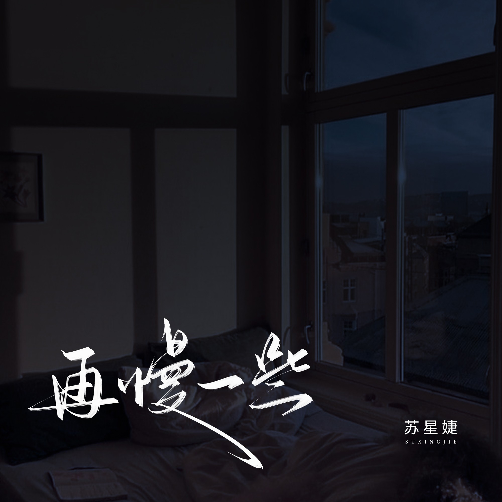 《再慢一点再快一点的歌名》