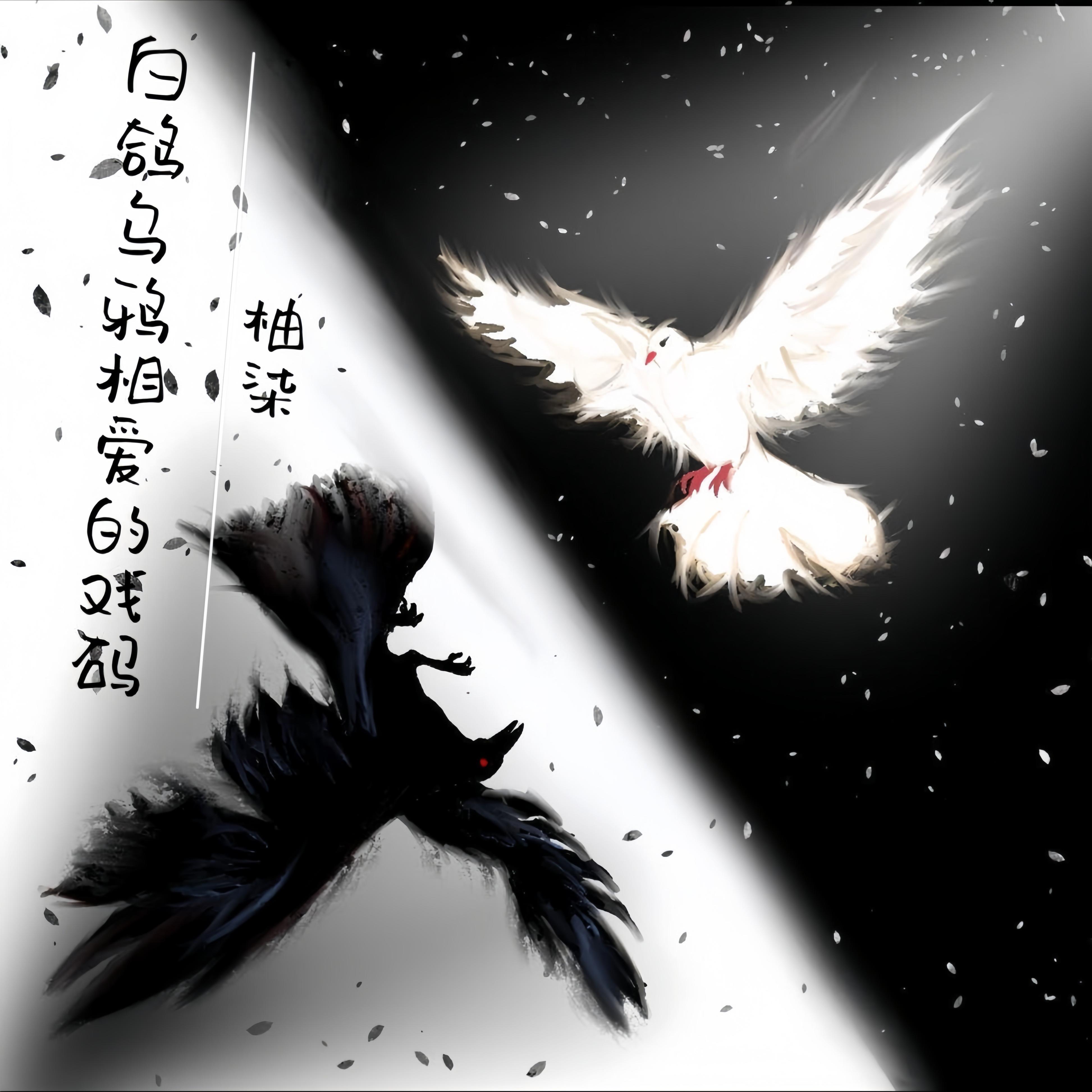 白鸽歌曲(白鸽歌曲原唱完整版)