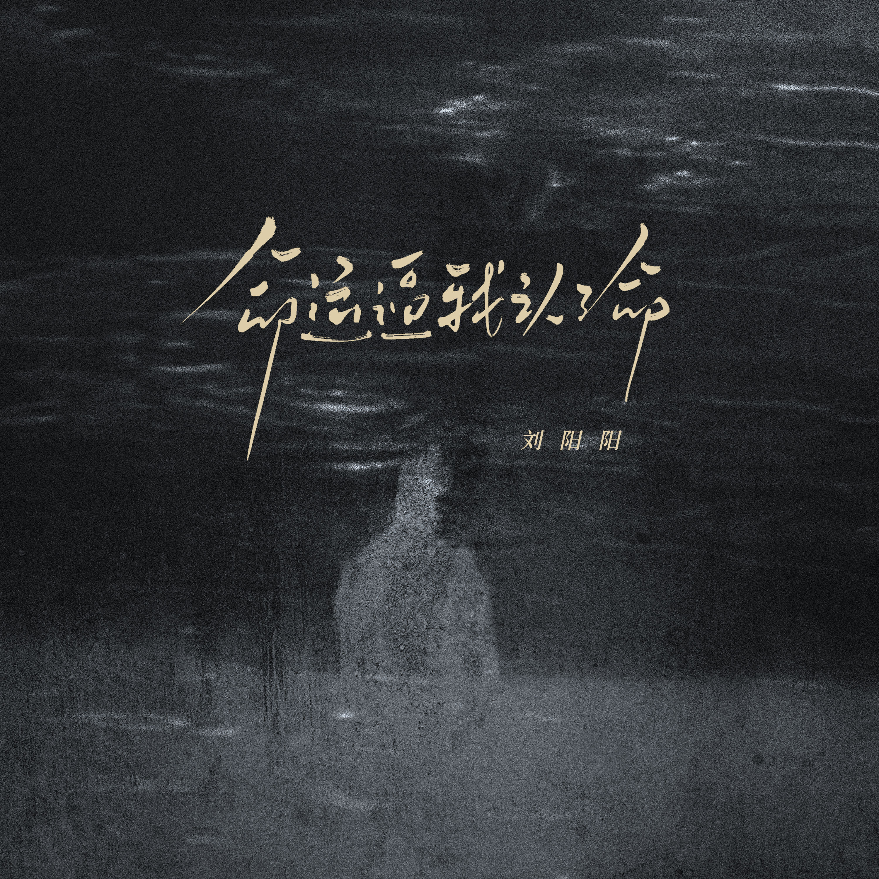 歌曲命运(兰陵王歌曲命运)