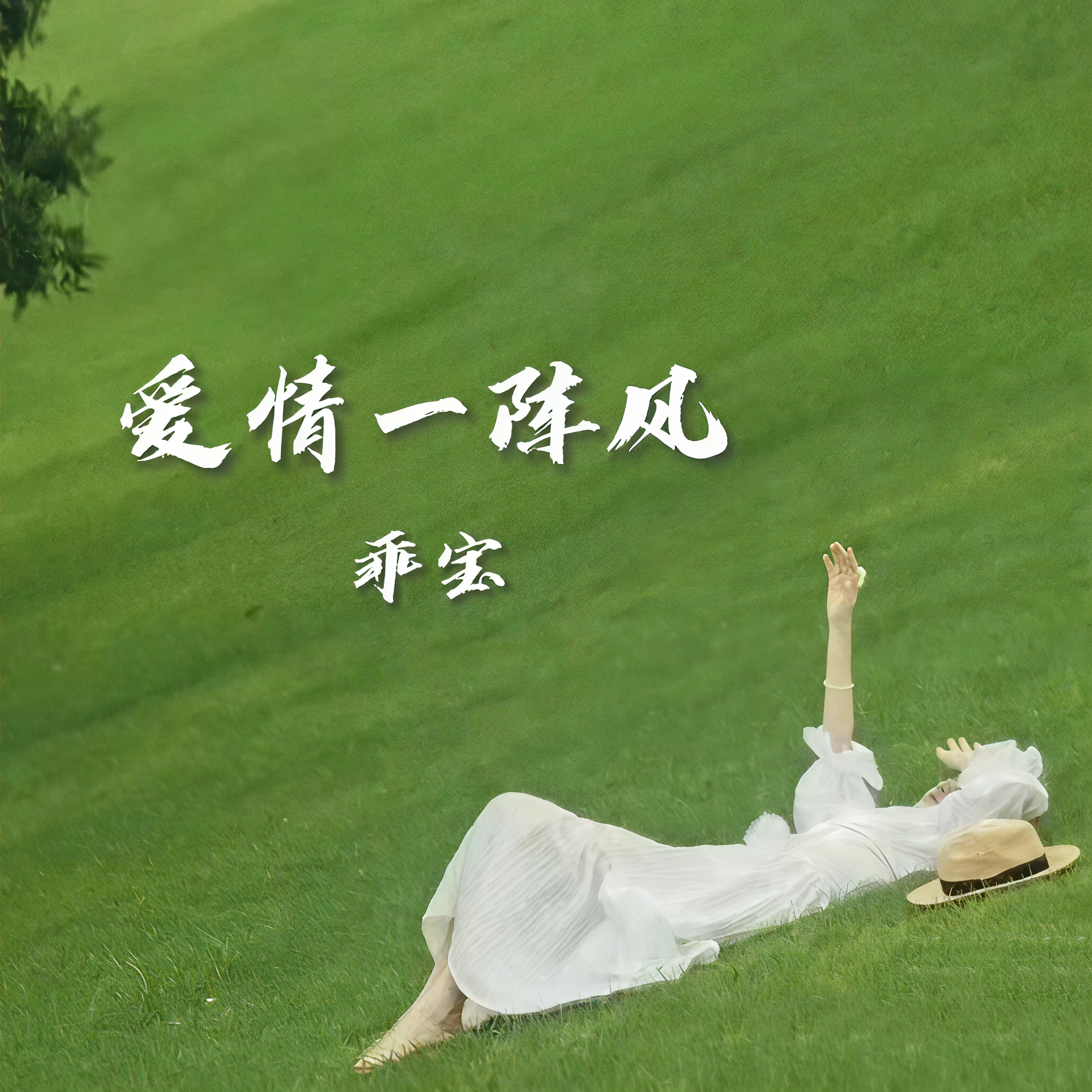 爱情一阵风抖音=爱情一阵风抖音完整版