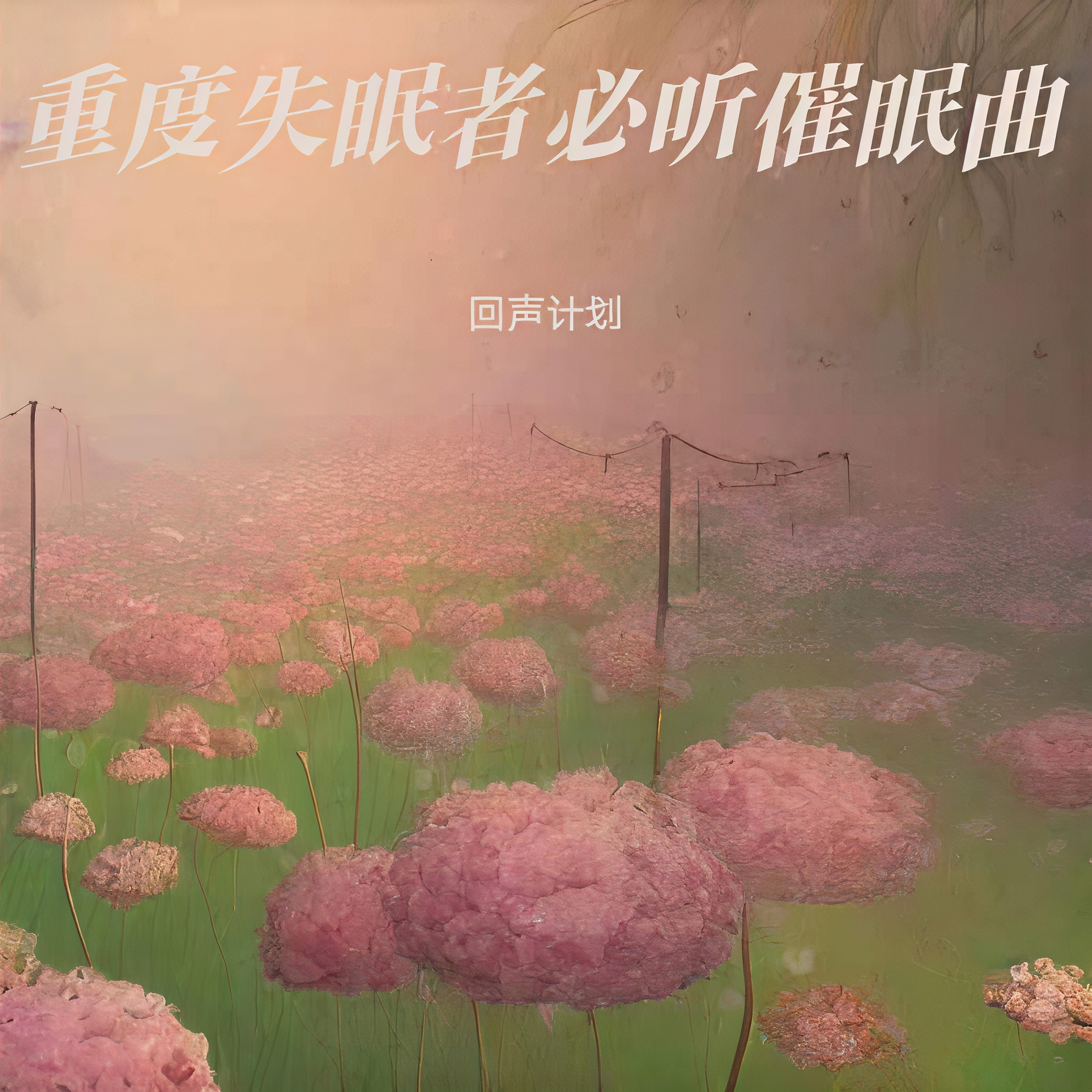 睡眠歌曲(睡眠歌曲100首必听免费)