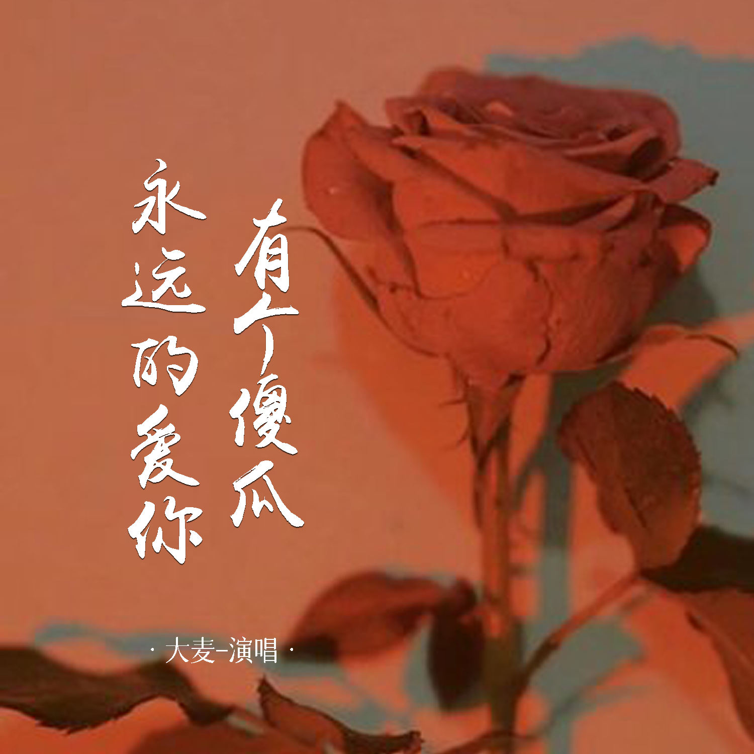 抖音傻瓜歌=抖音那个什么傻瓜的歌词