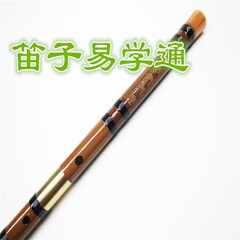 笛子易學通