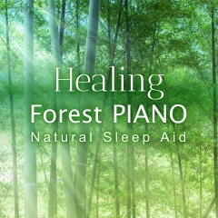 失眠急效药 | 钢琴森林
