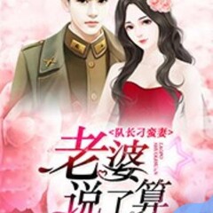 隊(duì)長刁蠻妻：老婆說了算