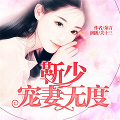 靳少寵妻無度