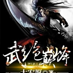 武絕巔峰