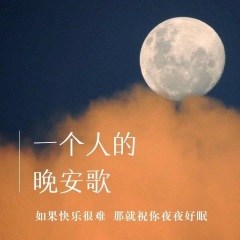 一个人的晚安歌