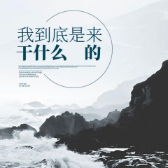 我到底是来干什么的